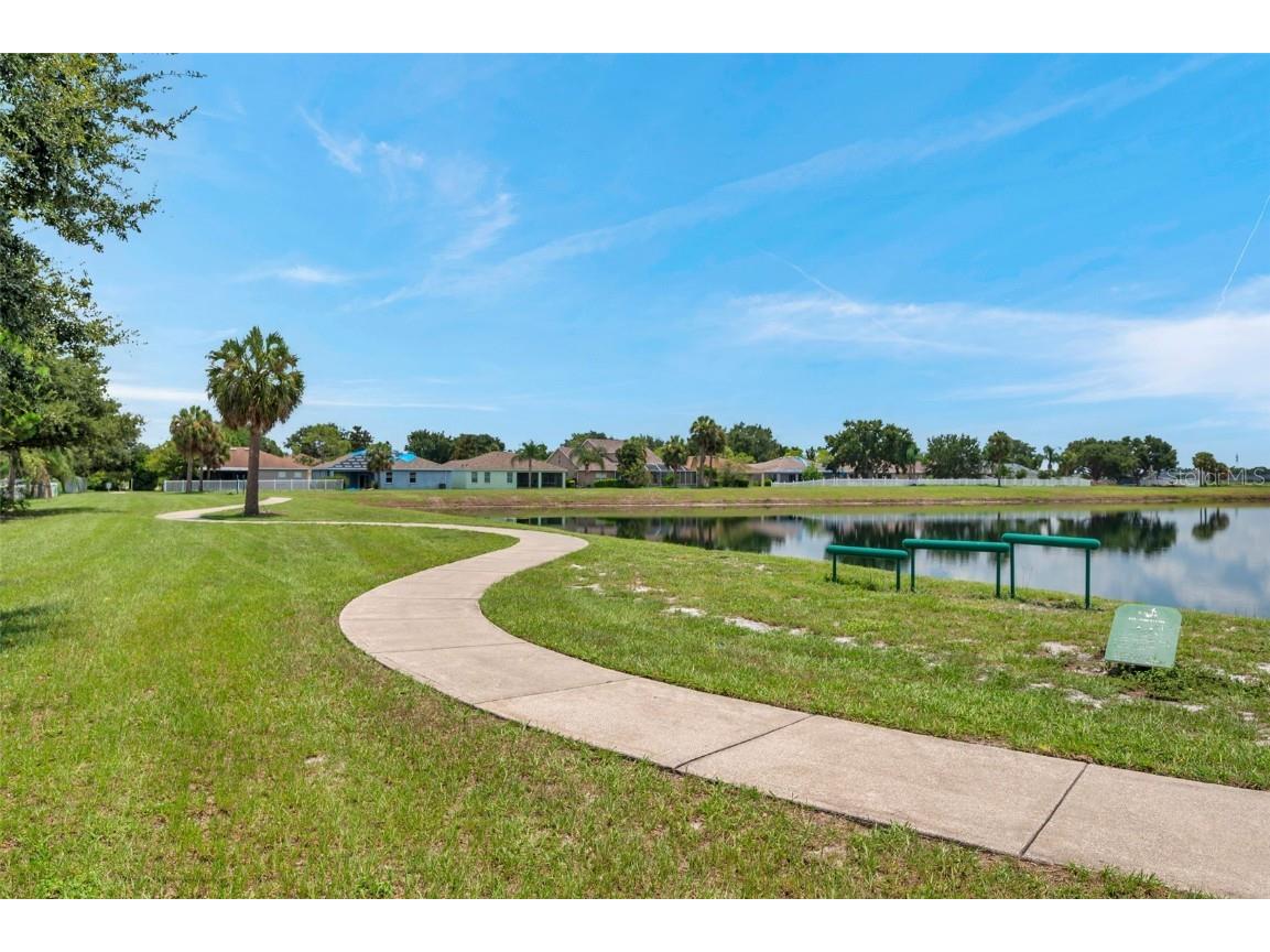 11321 Laurel Brook Court Riverview FL 33569 - RHODINE LAKE TB8419896 image28