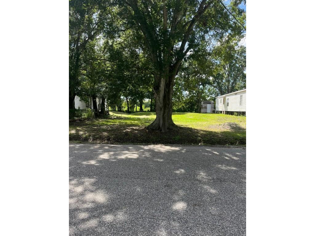 11321 Poinsettia Street Riverview FL 33578 T3470409 image1