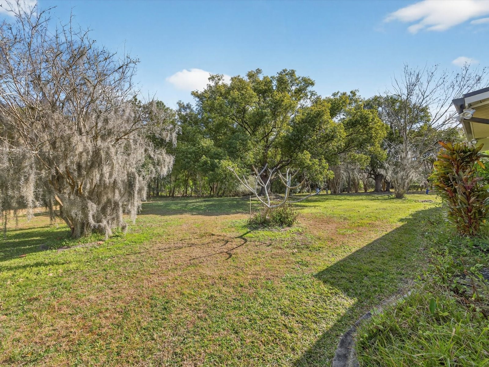 11321 Scenic View Lane Orlando FL 32821 O6376642 image21