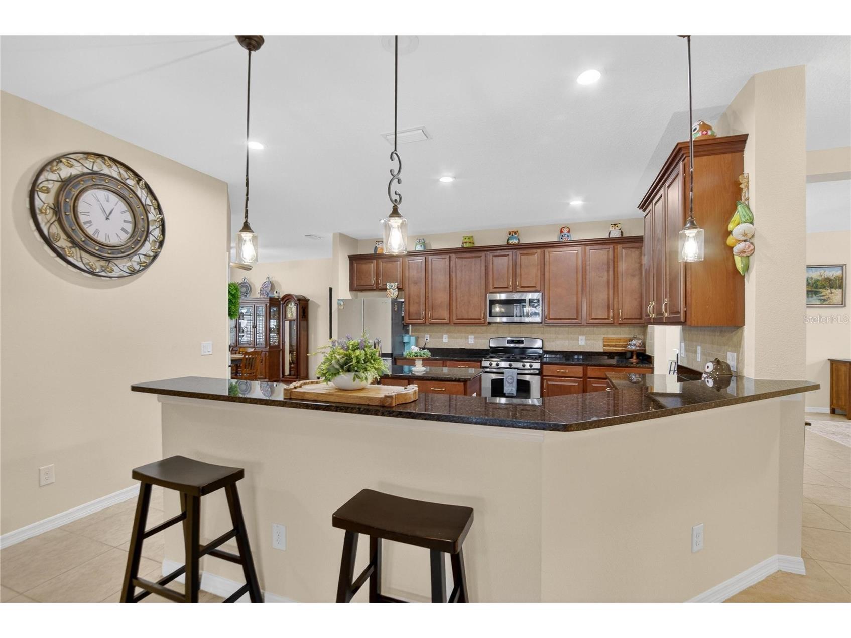 11321 Scribner Station Lane Lithia FL 33547 TB8502499 image21
