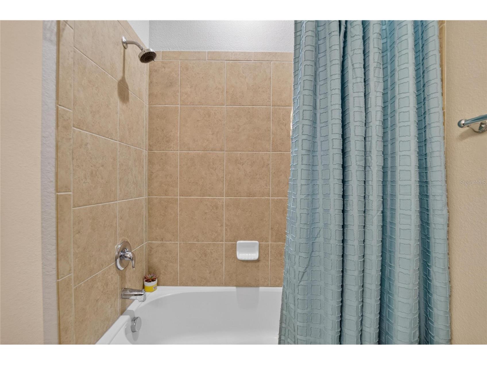 11321 Scribner Station Lane Lithia FL 33547 TB8502499 image47
