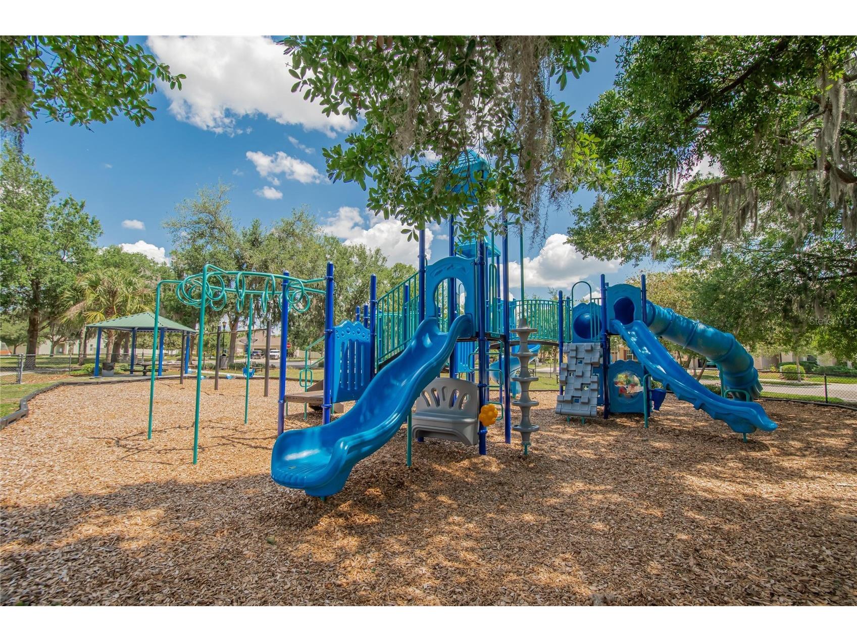 11321 Scribner Station Lane Lithia FL 33547 TB8502499 image63