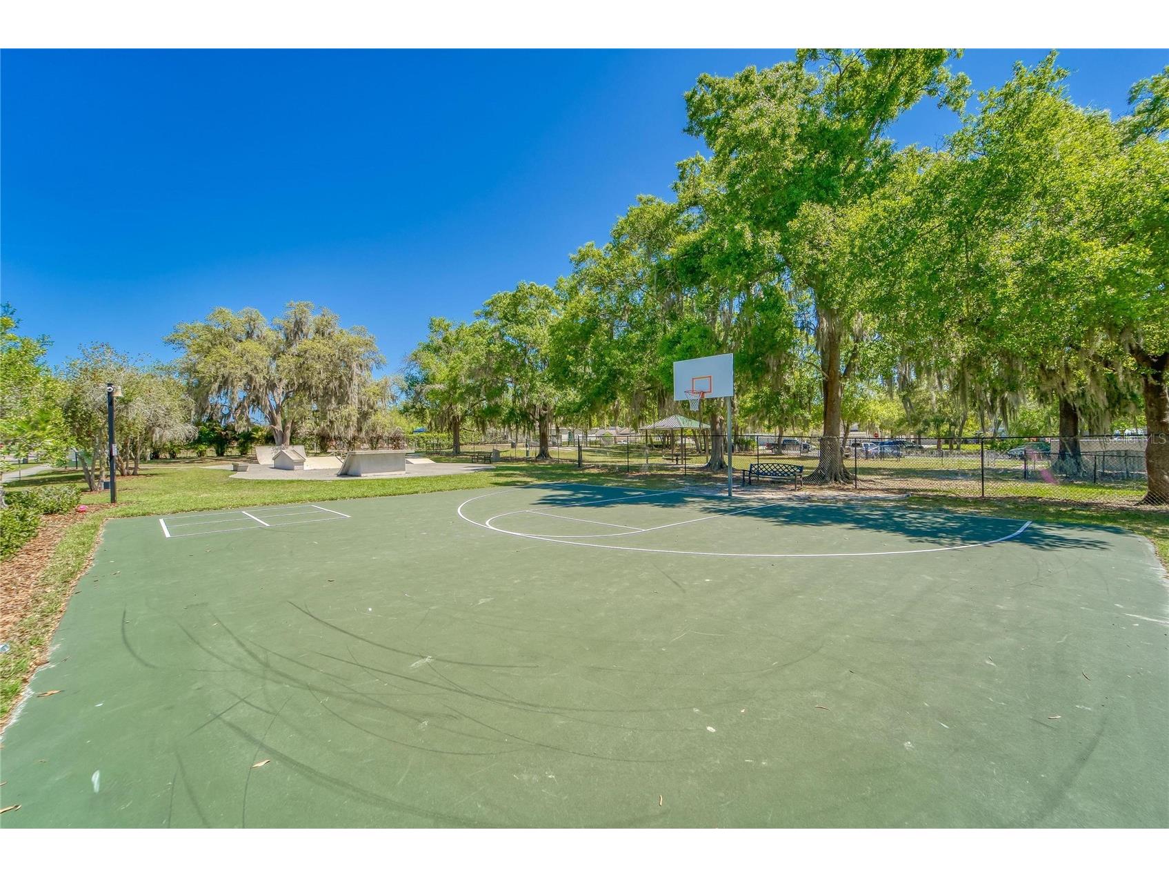 11321 Scribner Station Lane Lithia FL 33547 TB8502499 image69