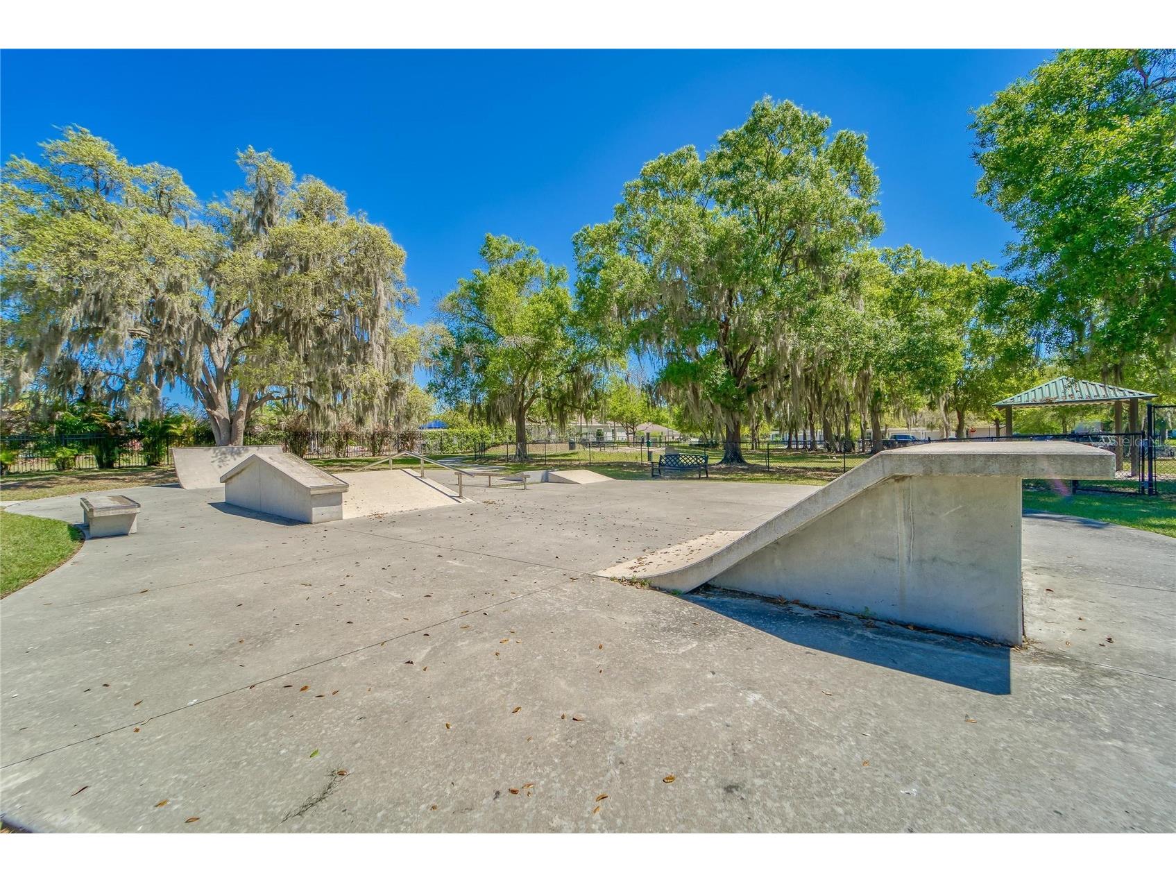 11321 Scribner Station Lane Lithia FL 33547 TB8502499 image70