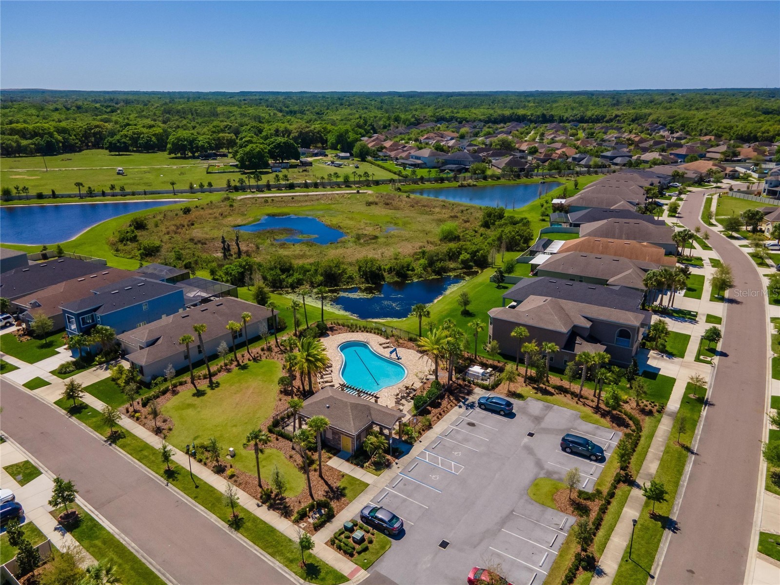 11321 Scribner Station Lane Lithia FL 33547 TB8502499 image72