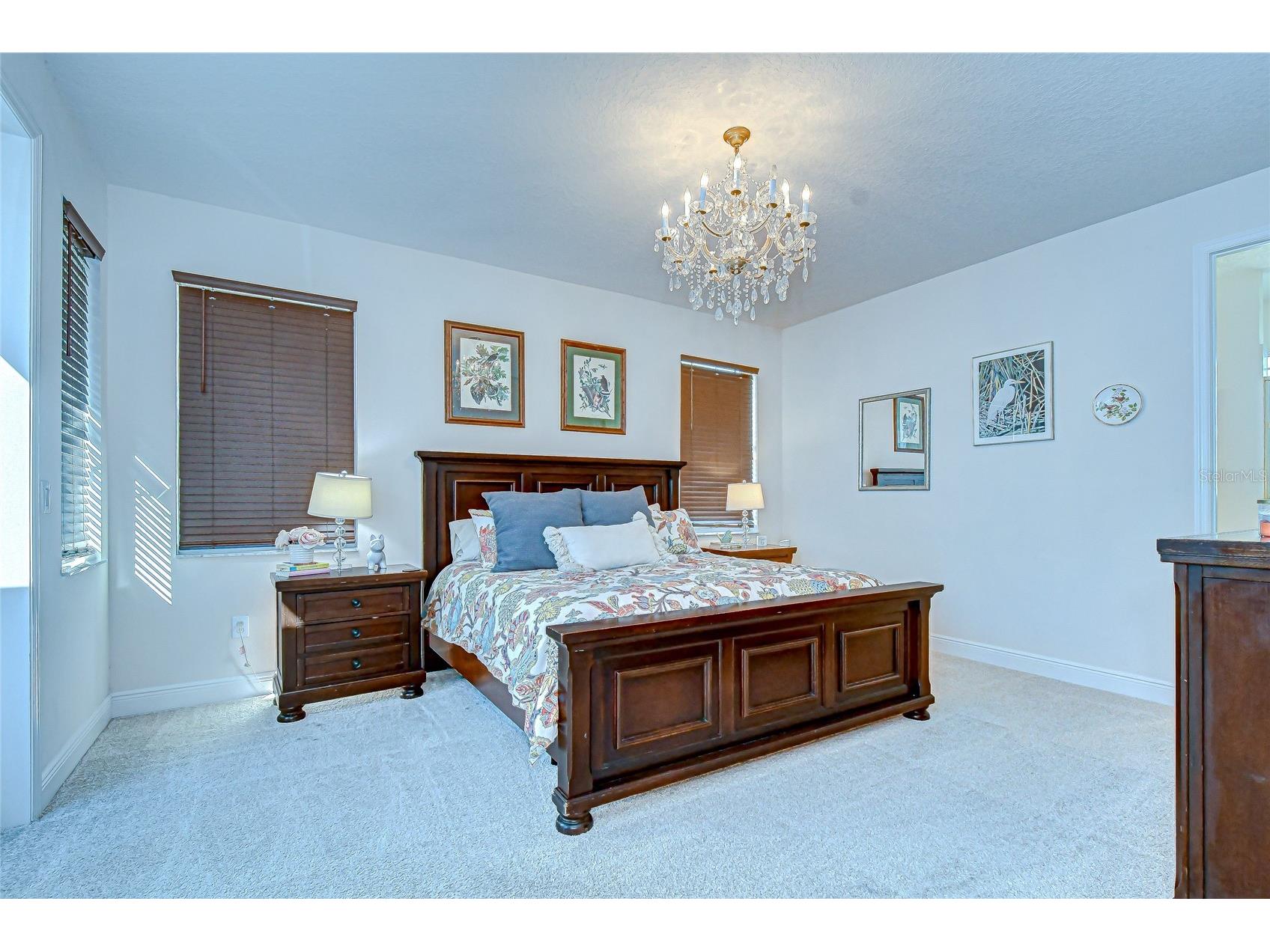 11321 Wickersley Place Tampa FL 33625 TB8468894 image31