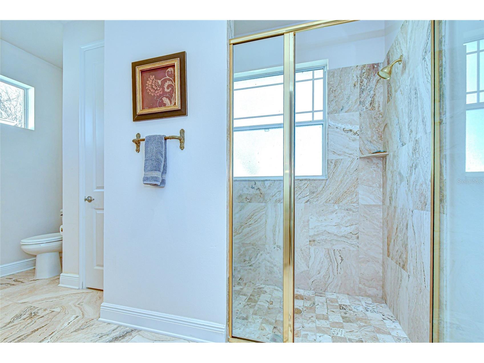 11321 Wickersley Place Tampa FL 33625 TB8468894 image35