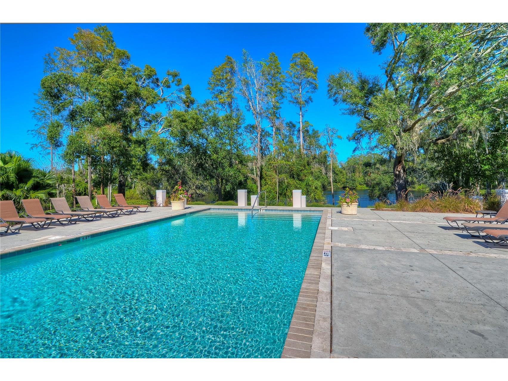 11321 Wickersley Place Tampa FL 33625 TB8468894 image61