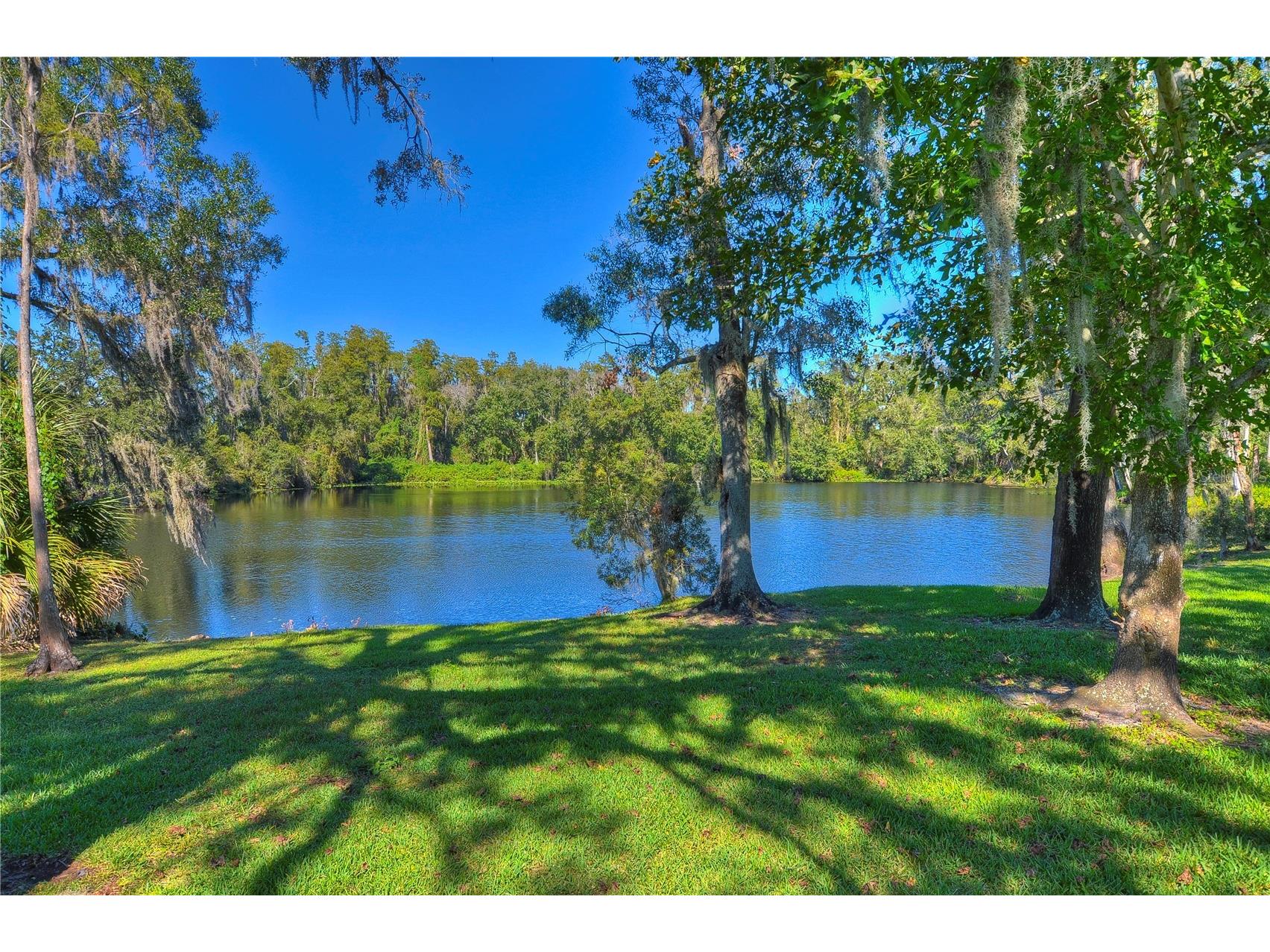 11321 Wickersley Place Tampa FL 33625 TB8468894 image63