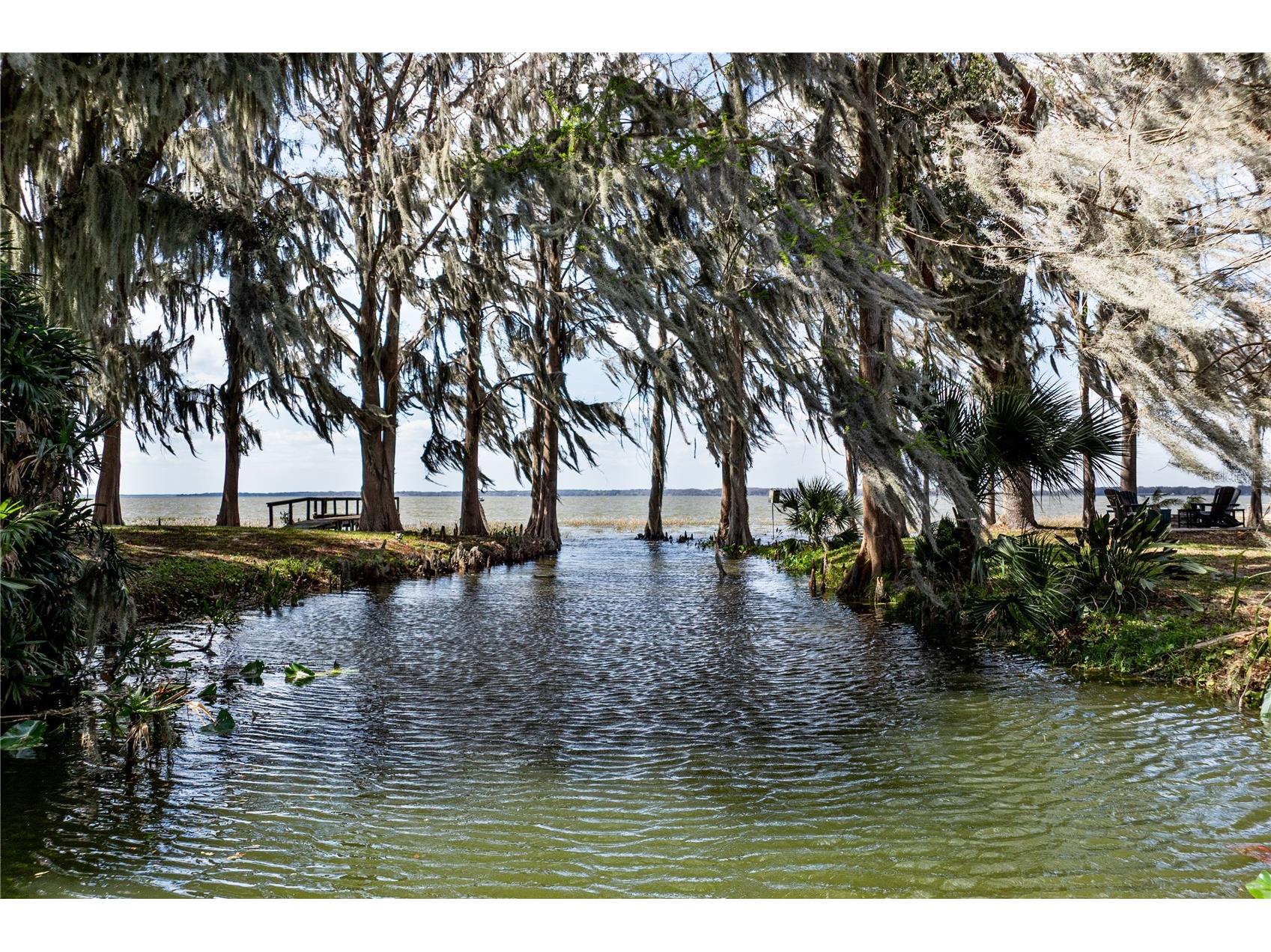 11322 Dead River Road Tavares FL 32778 - LAKE HARRIS G5108826 image11