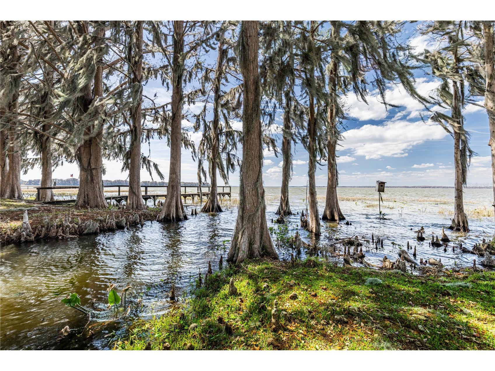 11322 Dead River Road Tavares FL 32778 - LAKE HARRIS G5108826 image12