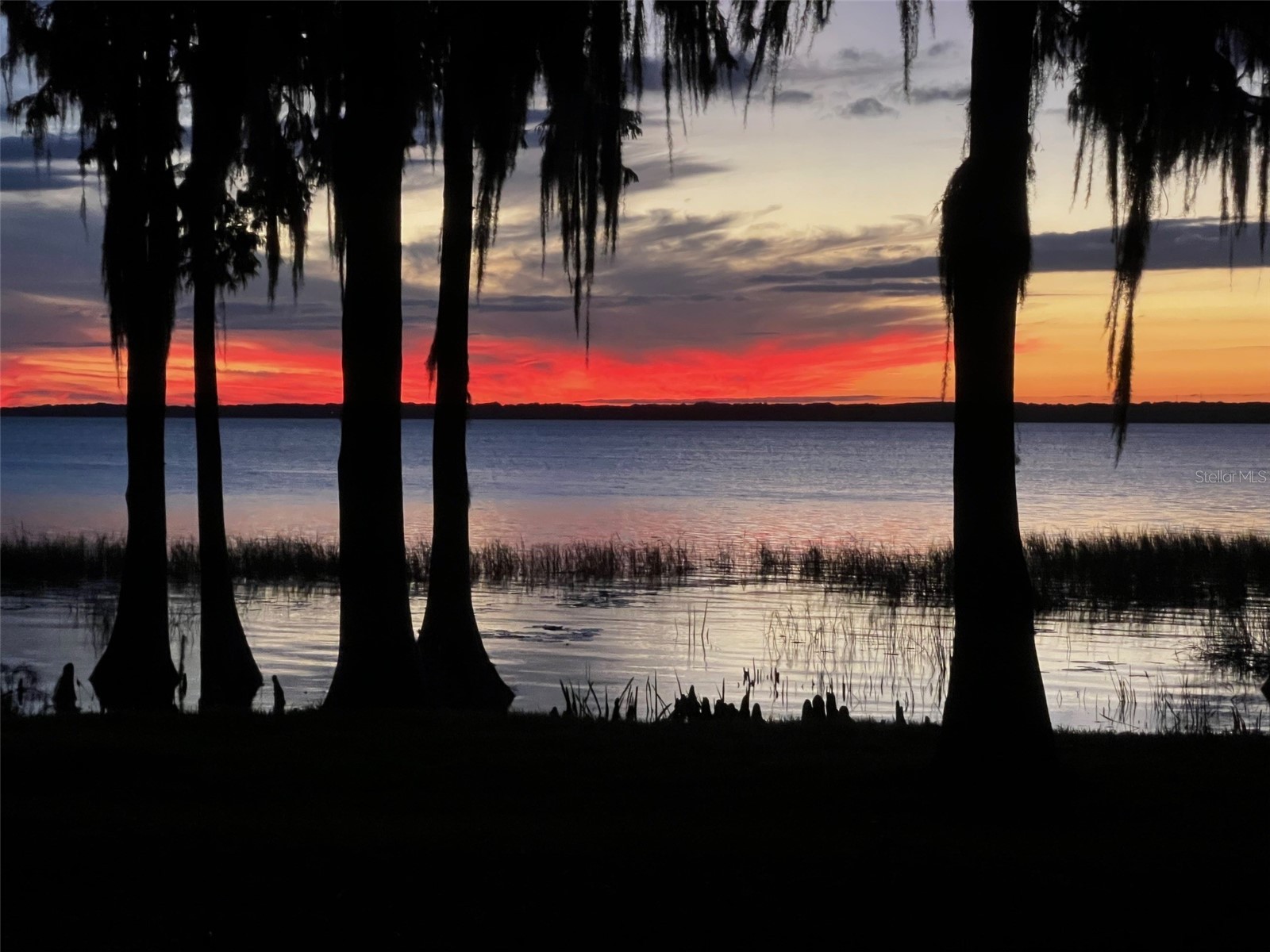 11322 Dead River Road Tavares FL 32778 - LAKE HARRIS G5108826 image2