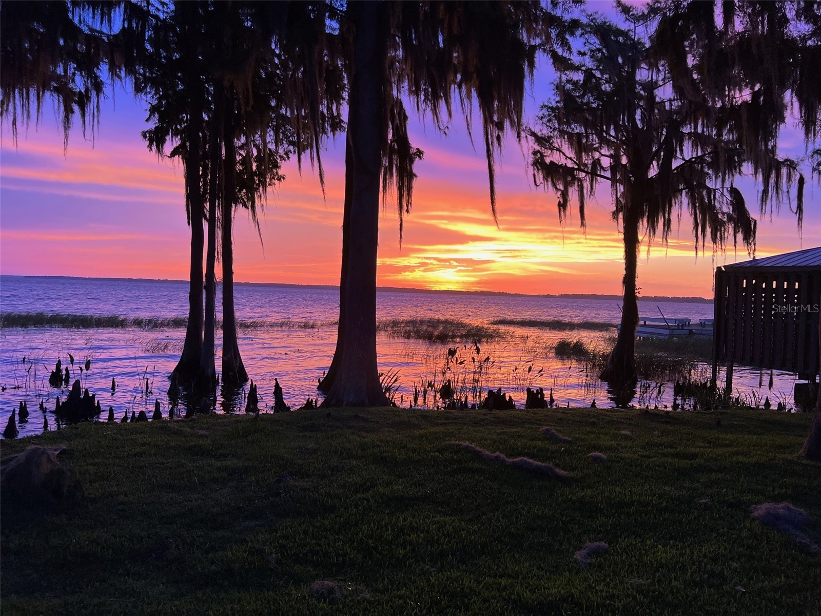 11322 Dead River Road Tavares FL 32778 - LAKE HARRIS G5108826 image3