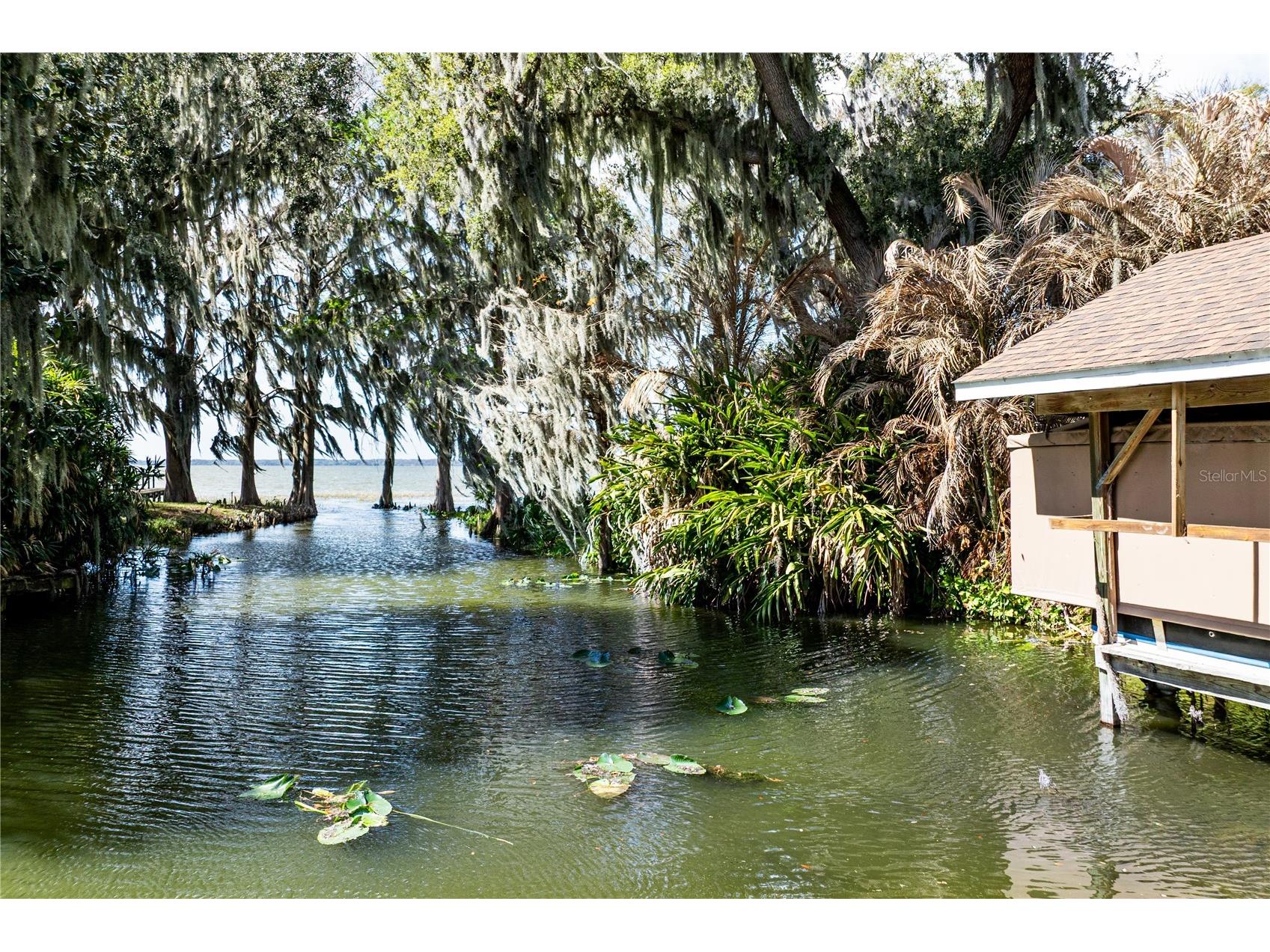 11322 Dead River Road Tavares FL 32778 - LAKE HARRIS G5108826 image56
