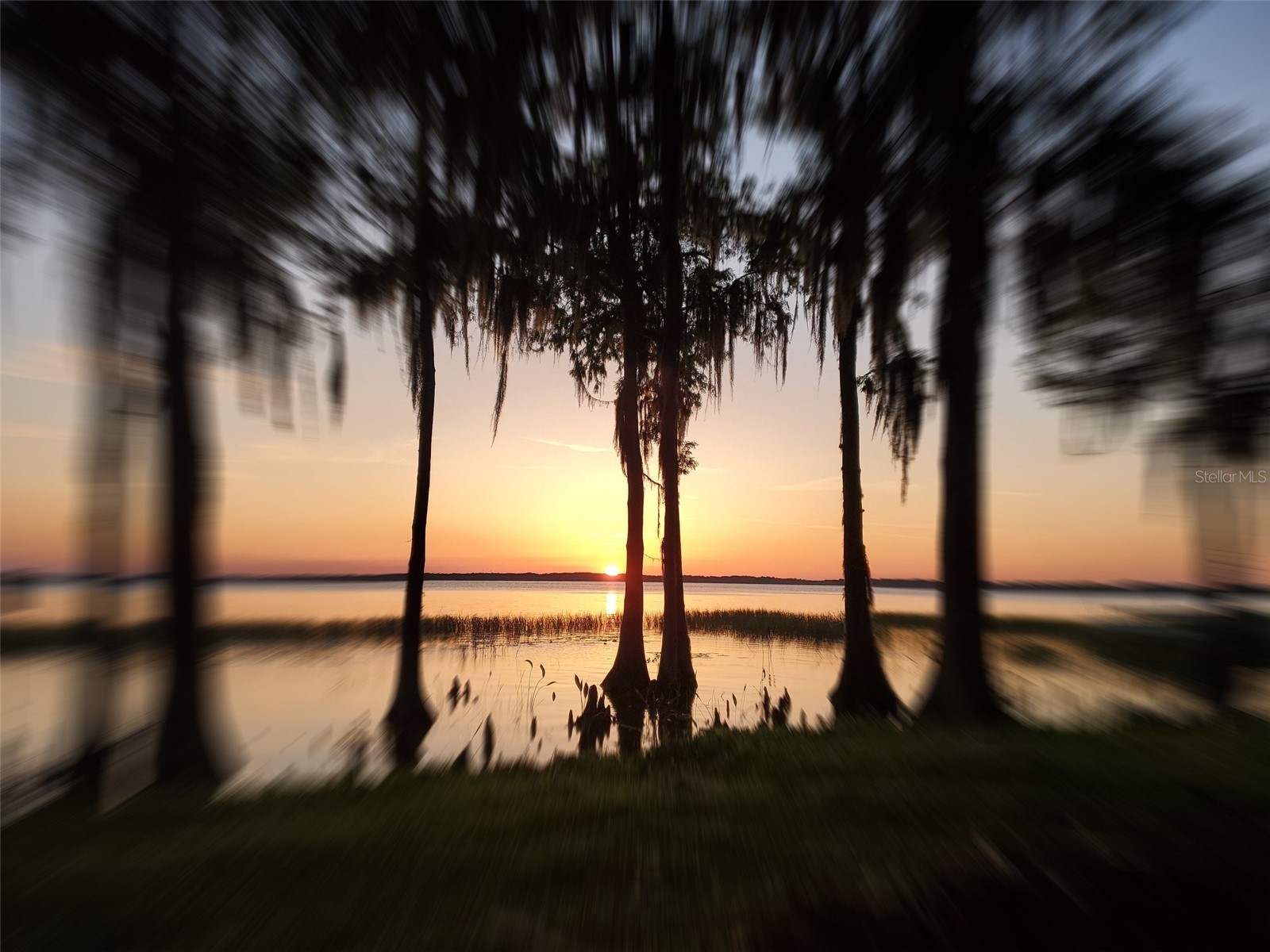 11322 Dead River Road Tavares FL 32778 - LAKE HARRIS G5108826 image72