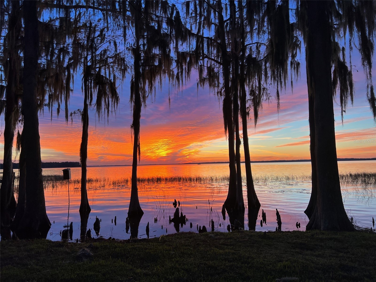 11322 Dead River Road Tavares FL 32778 - LAKE HARRIS G5108826 image75