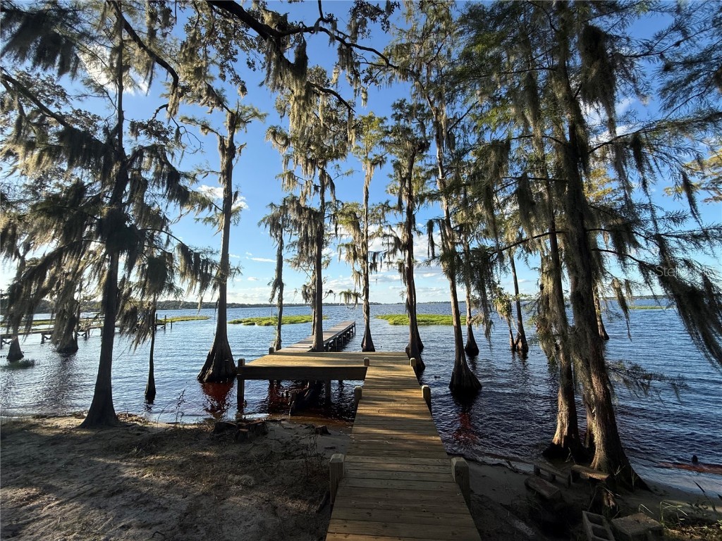 11323 Cypress Drive Clermont FL 34711 - LAKE MINNEHAHA G5103274 image4