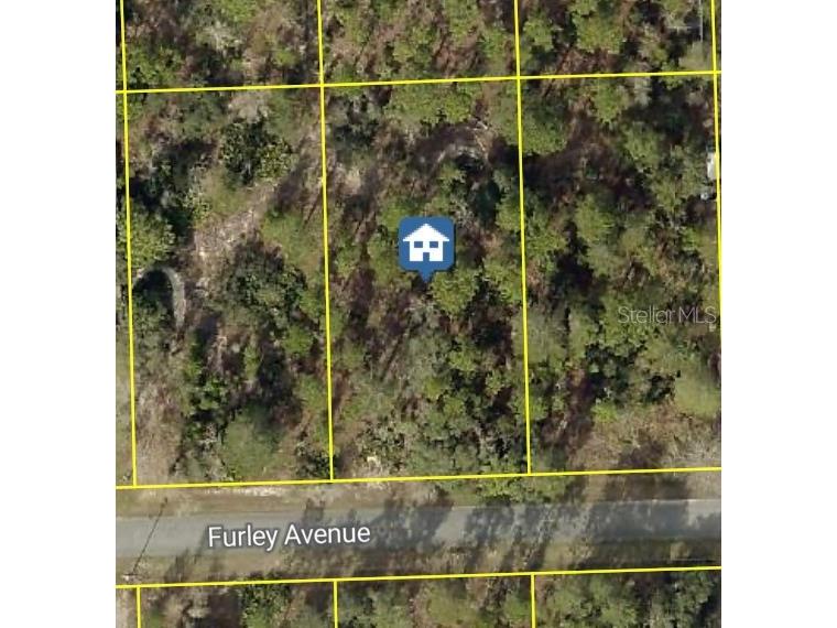 11323 Furley Avenue Weeki Wachee FL 34613 W7884004 image1