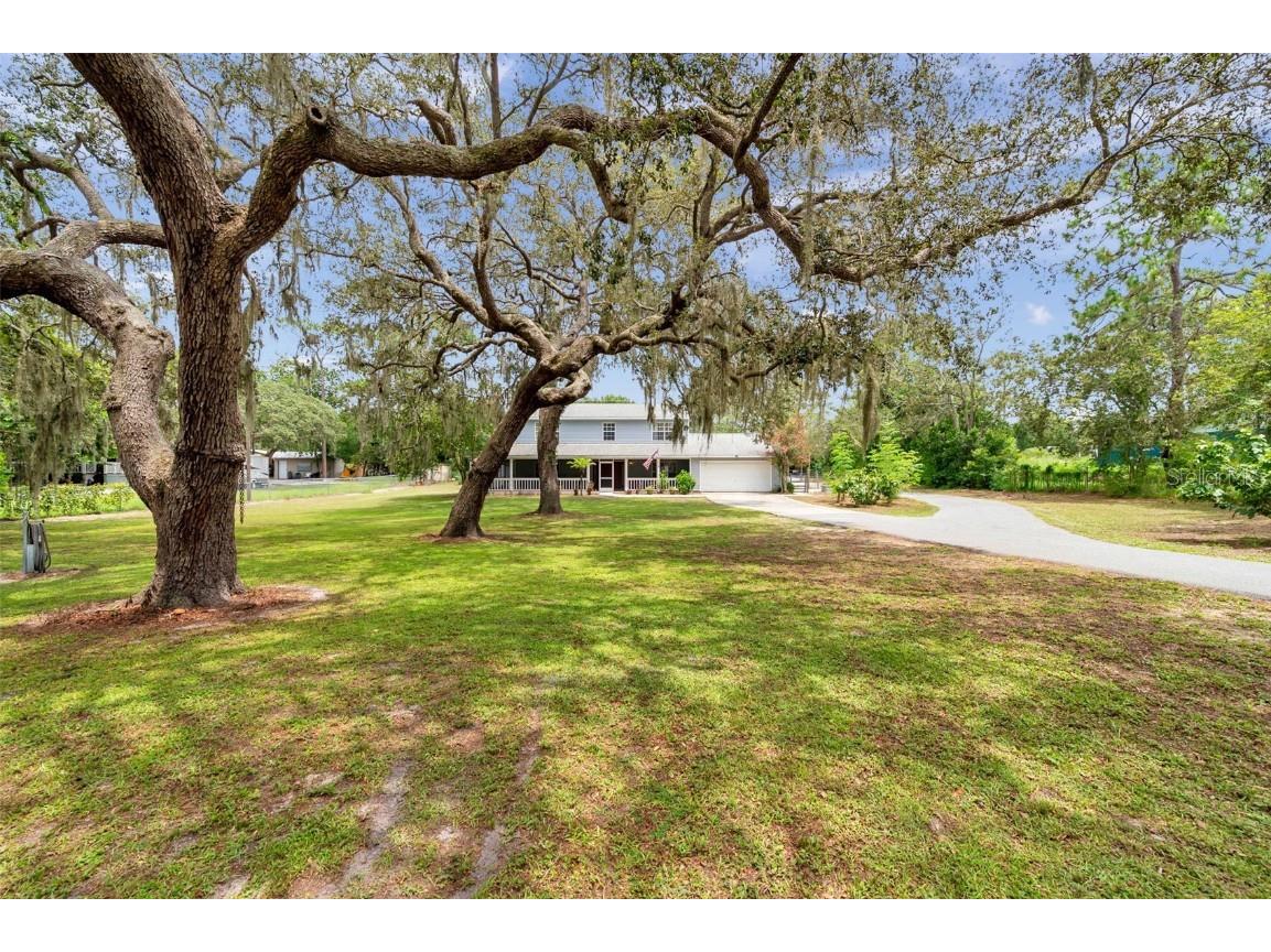 11324 Black Walnut Street Hudson FL 34669 TB8409269 image1