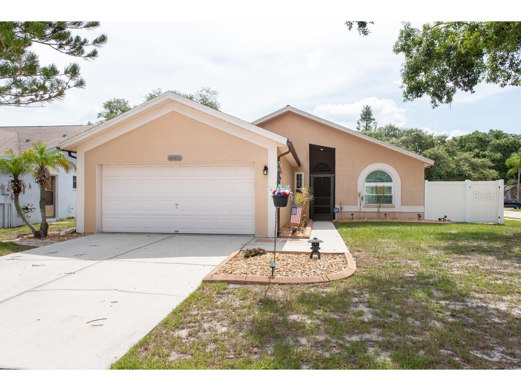 11324 Blackbark Drive Riverview FL 33579 T3458136 image1