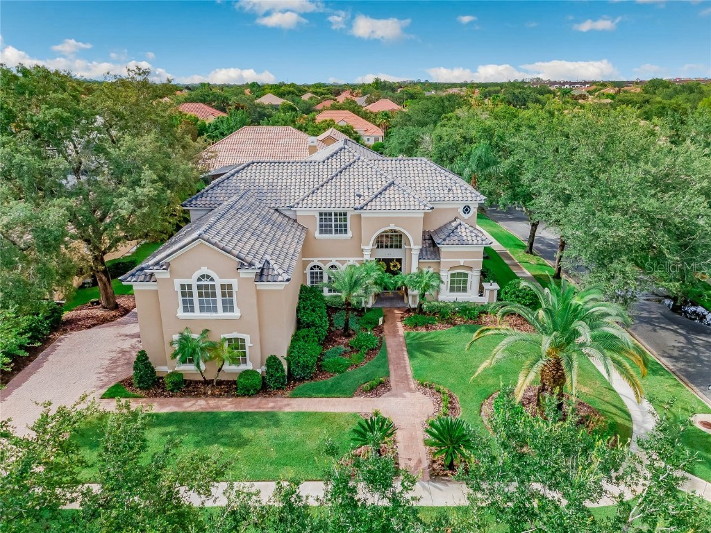 11324 Shandon Park Way Windermere FL 34786 O6119289 image1