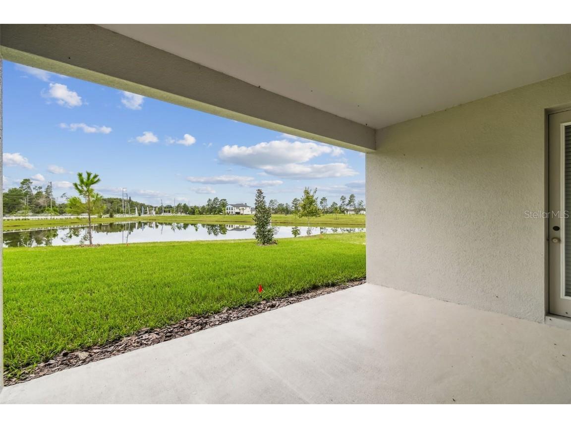 11324 Striped Bass Court New Port Richey FL 34654 TB8401969 image55