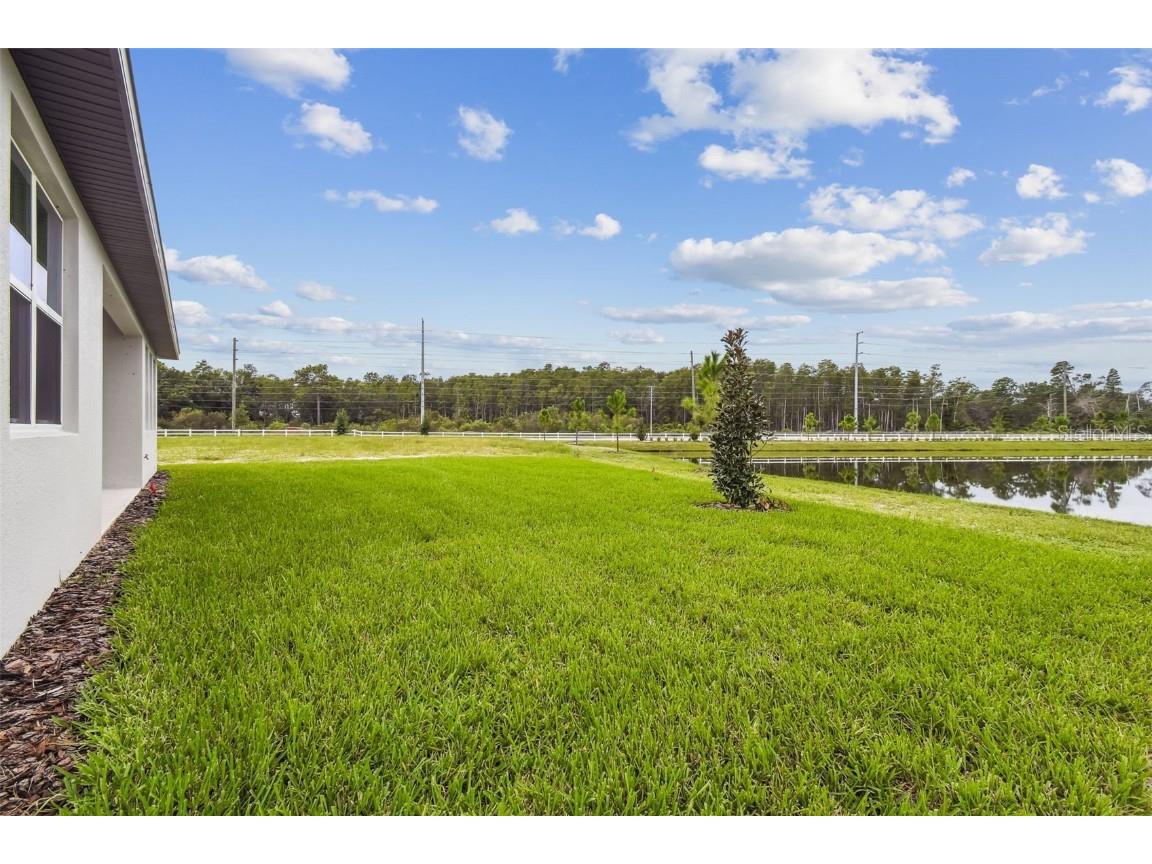 11324 Striped Bass Court New Port Richey FL 34654 TB8401969 image57