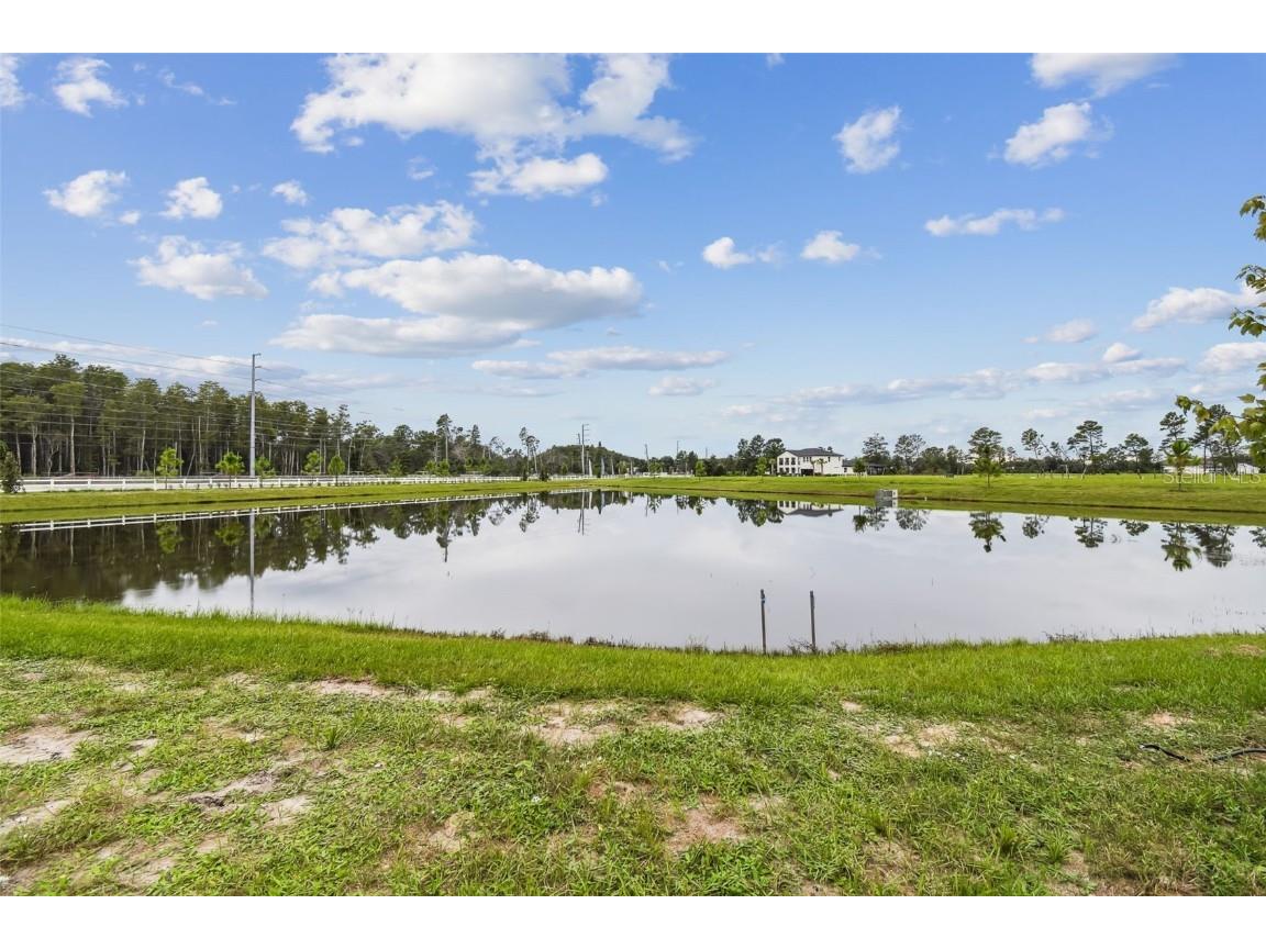 11324 Striped Bass Court New Port Richey FL 34654 TB8401969 image58