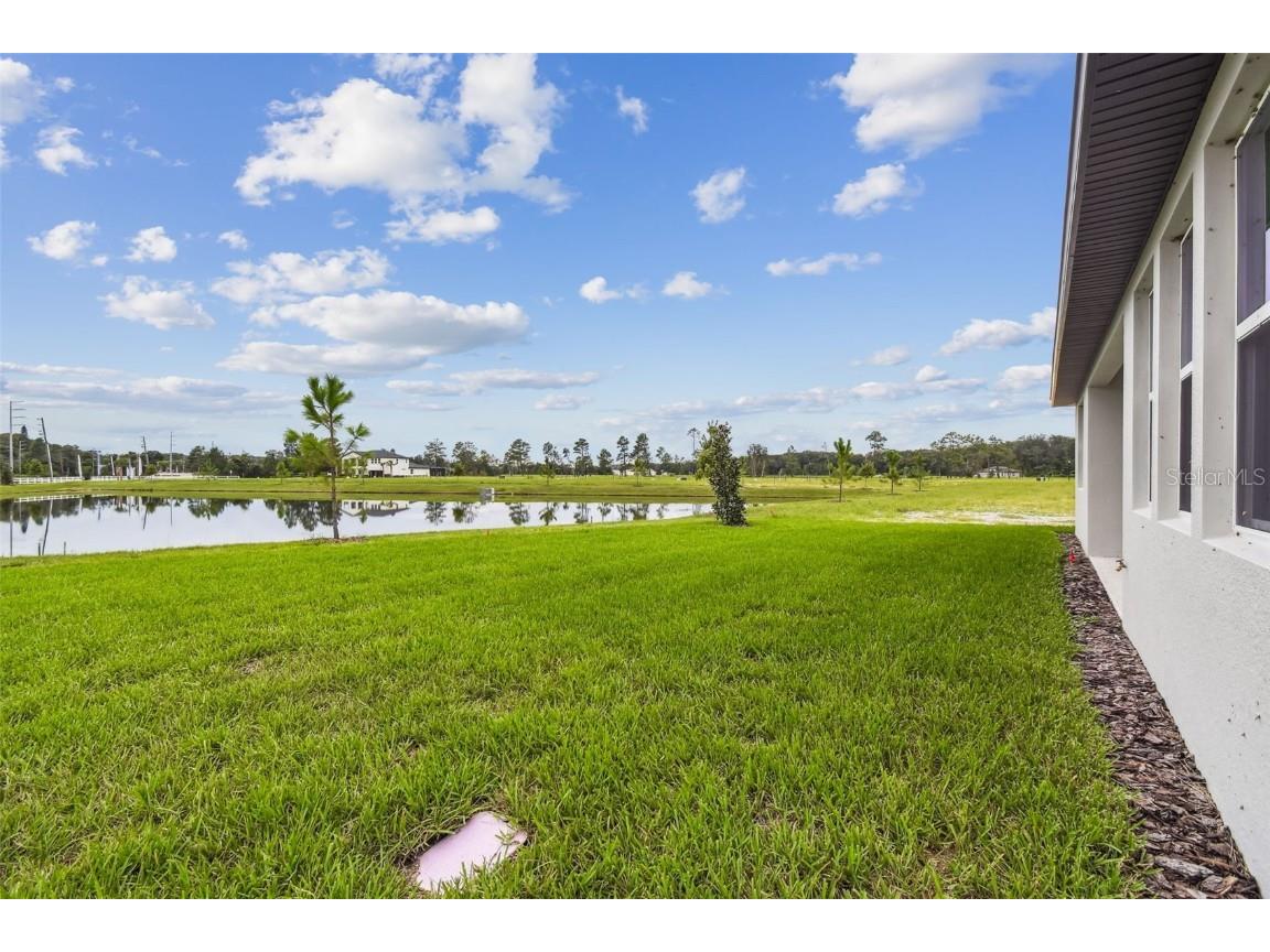 11324 Striped Bass Court New Port Richey FL 34654 TB8401969 image62