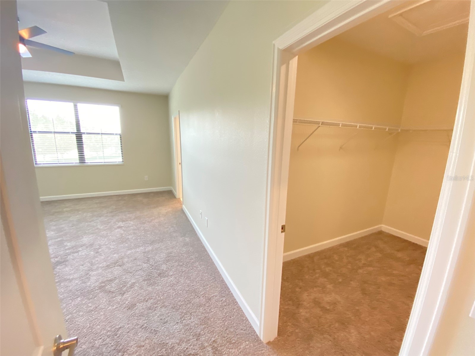 11324 Whistling Pine Way Orlando FL 32832 O6392944 image15