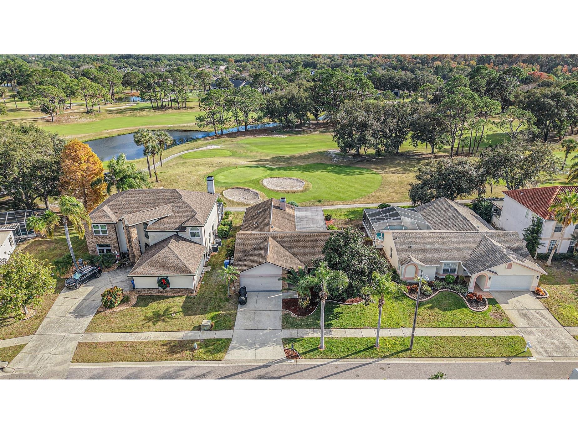 11325 Glenmont Drive Tampa FL 33635 TB8502029 image27