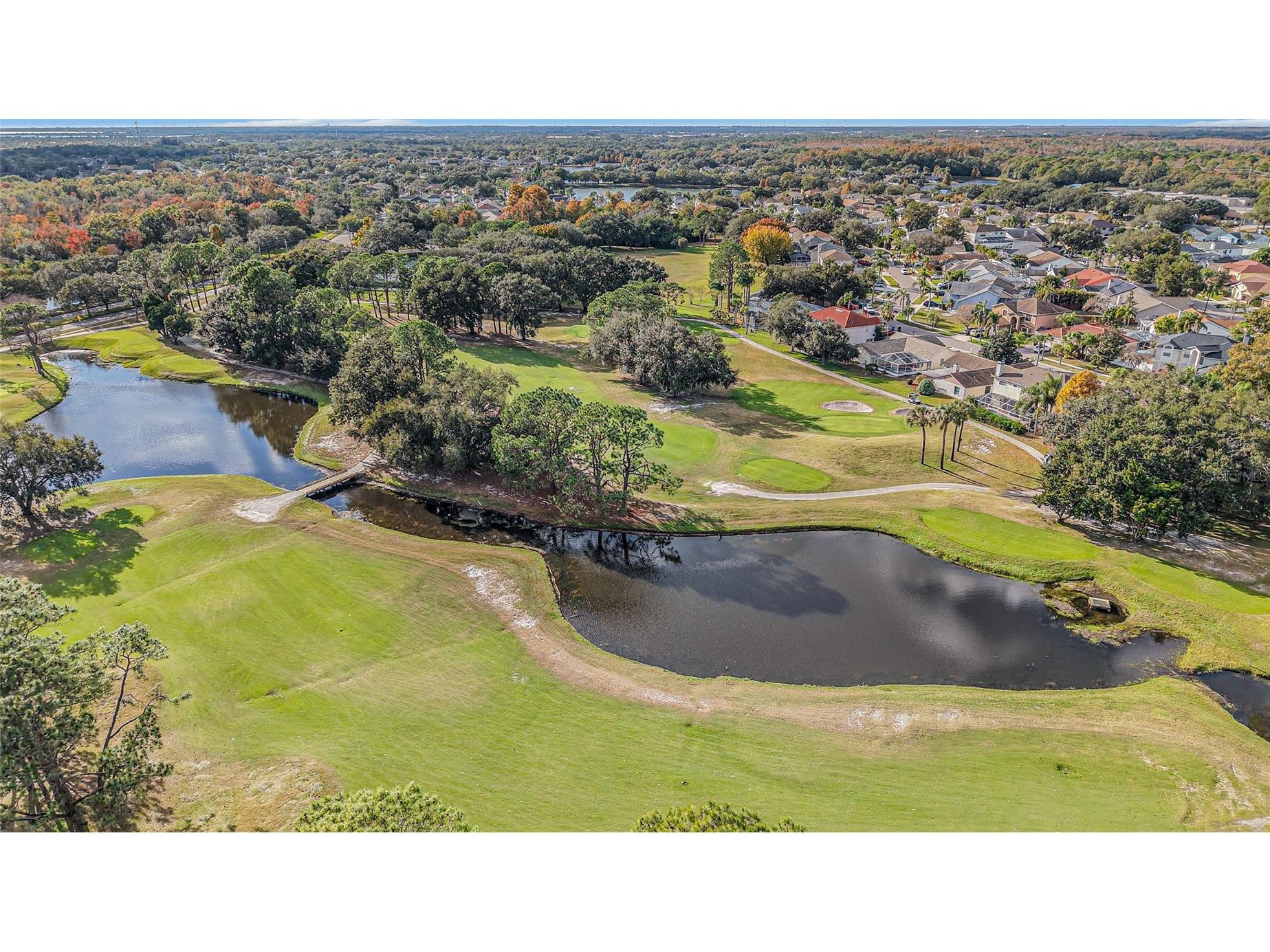 11325 Glenmont Drive Tampa FL 33635 TB8502029 image28