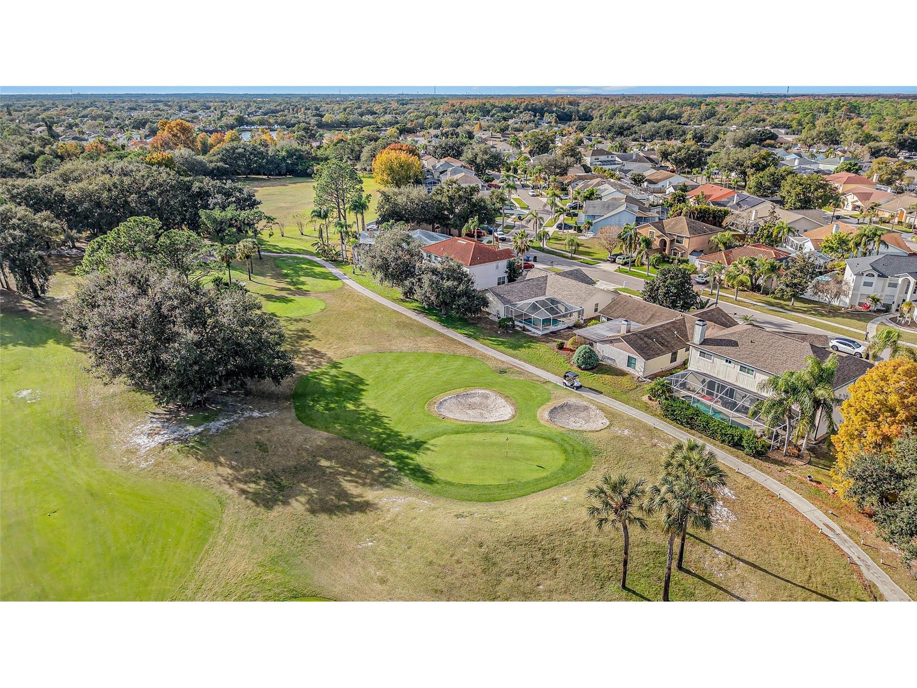 11325 Glenmont Drive Tampa FL 33635 TB8502029 image29
