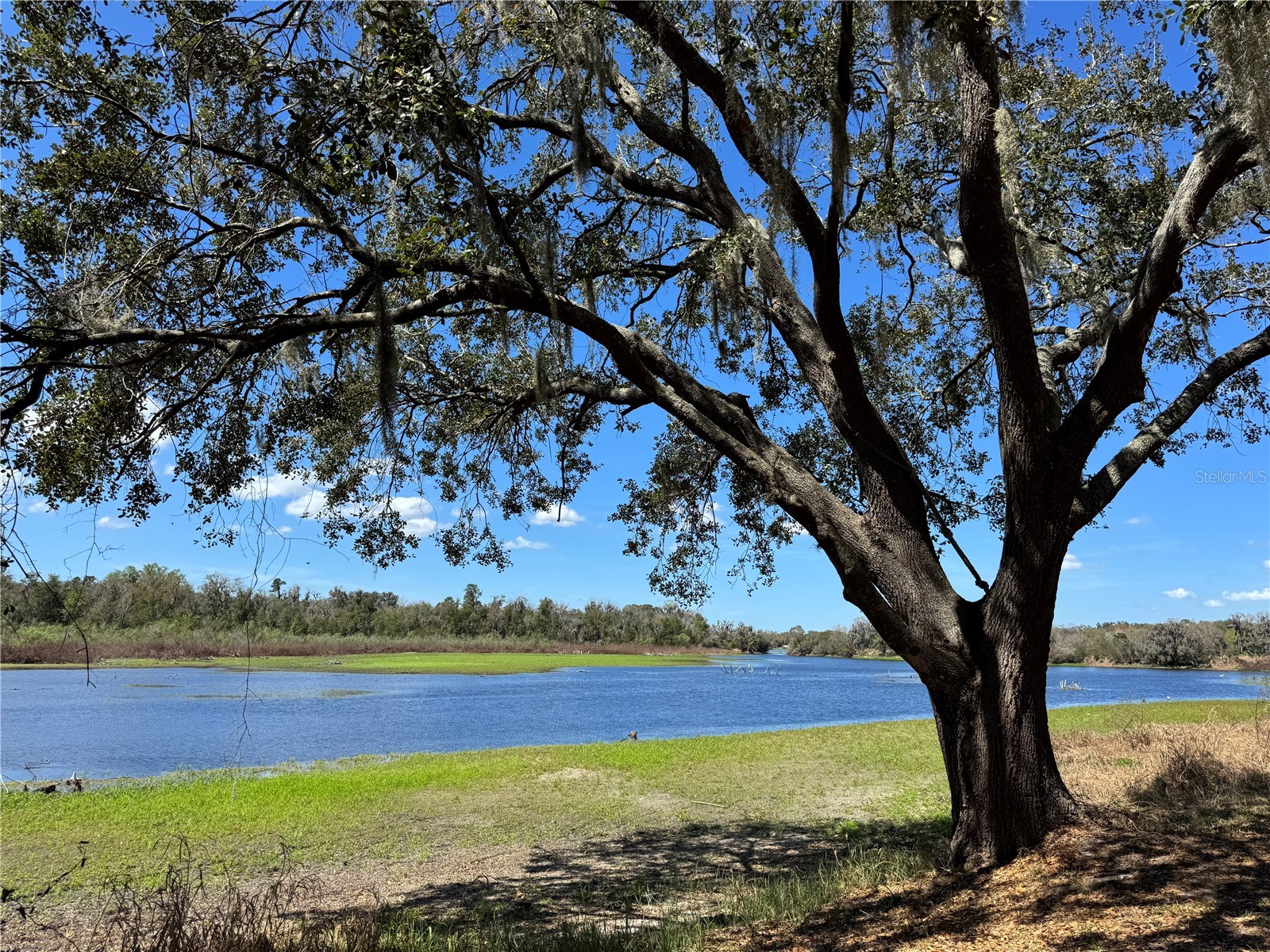 11325 Hidden Valley Lane Riverview FL 33569 - SHADOW LAKE TB8463102 image3