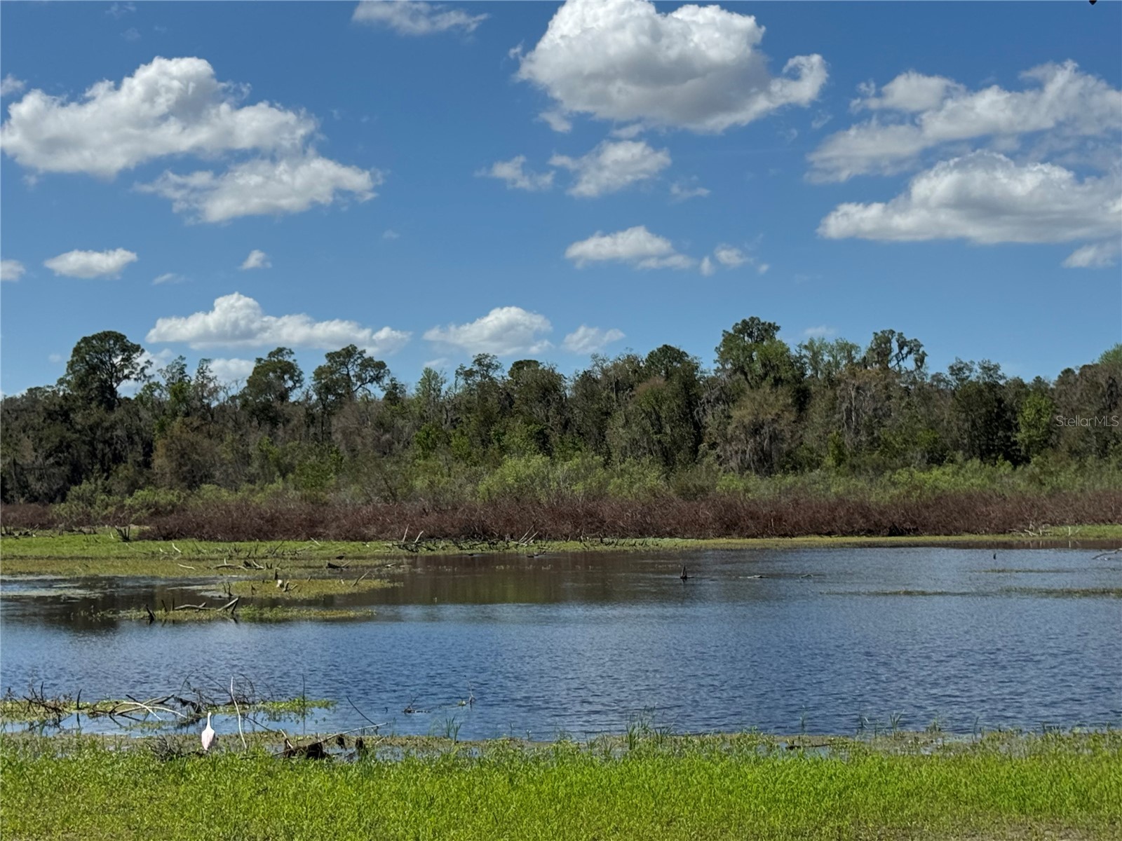 11325 Hidden Valley Lane Riverview FL 33569 - SHADOW LAKE TB8463102 image73
