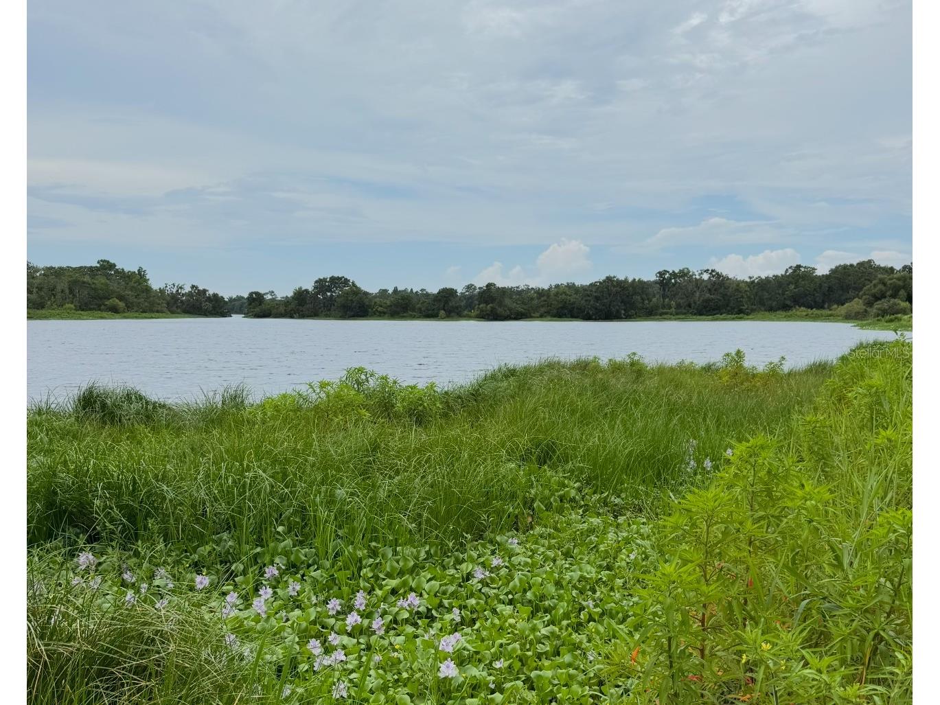 11325 Hidden Valley Lane Riverview FL 33569 - SHADOW LAKE TB8463102 image97
