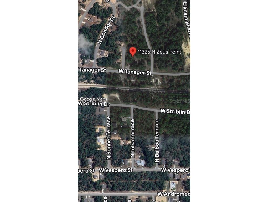 11325 N Zeus Point Dunnellon FL 34433 W7877803 image1