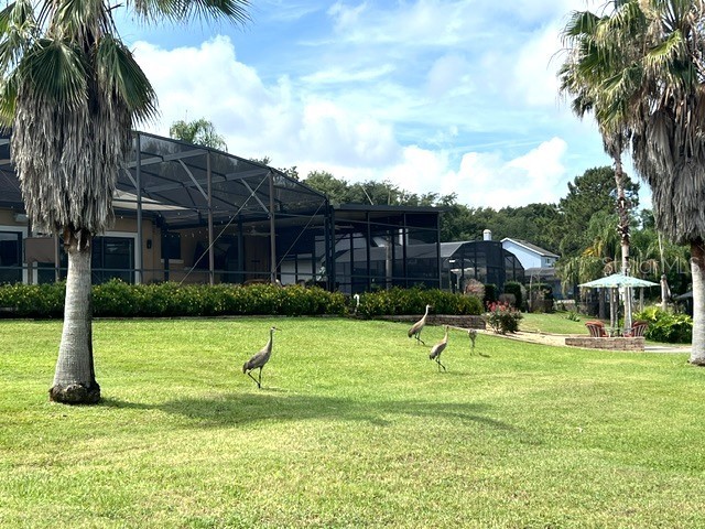11325 Preston Cove Road Clermont FL 34711 - CLERMONT CHAIN OF LAKES G5111586 image50