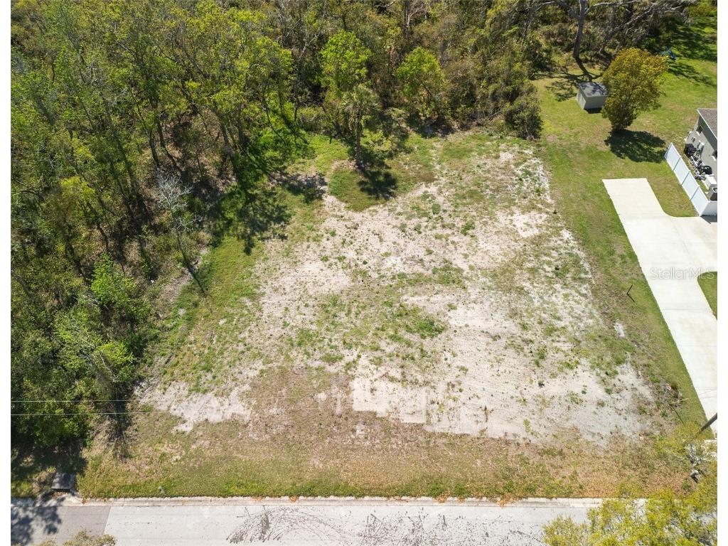 11325 Tralee Drive Riverview FL 33569 TB8360499 image1