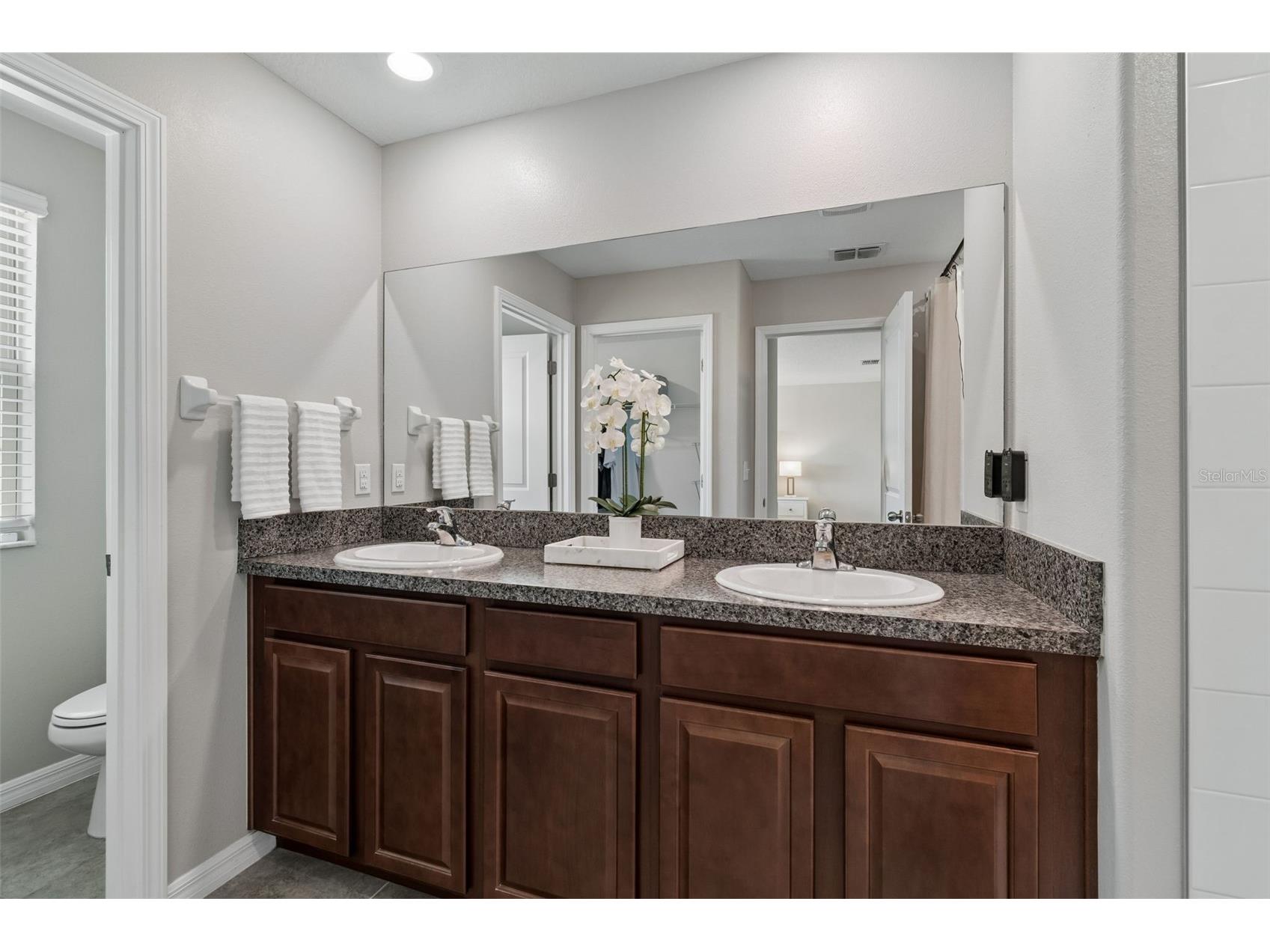 11326 Sage Canyon Drive Riverview FL 33578 A4689304 image34