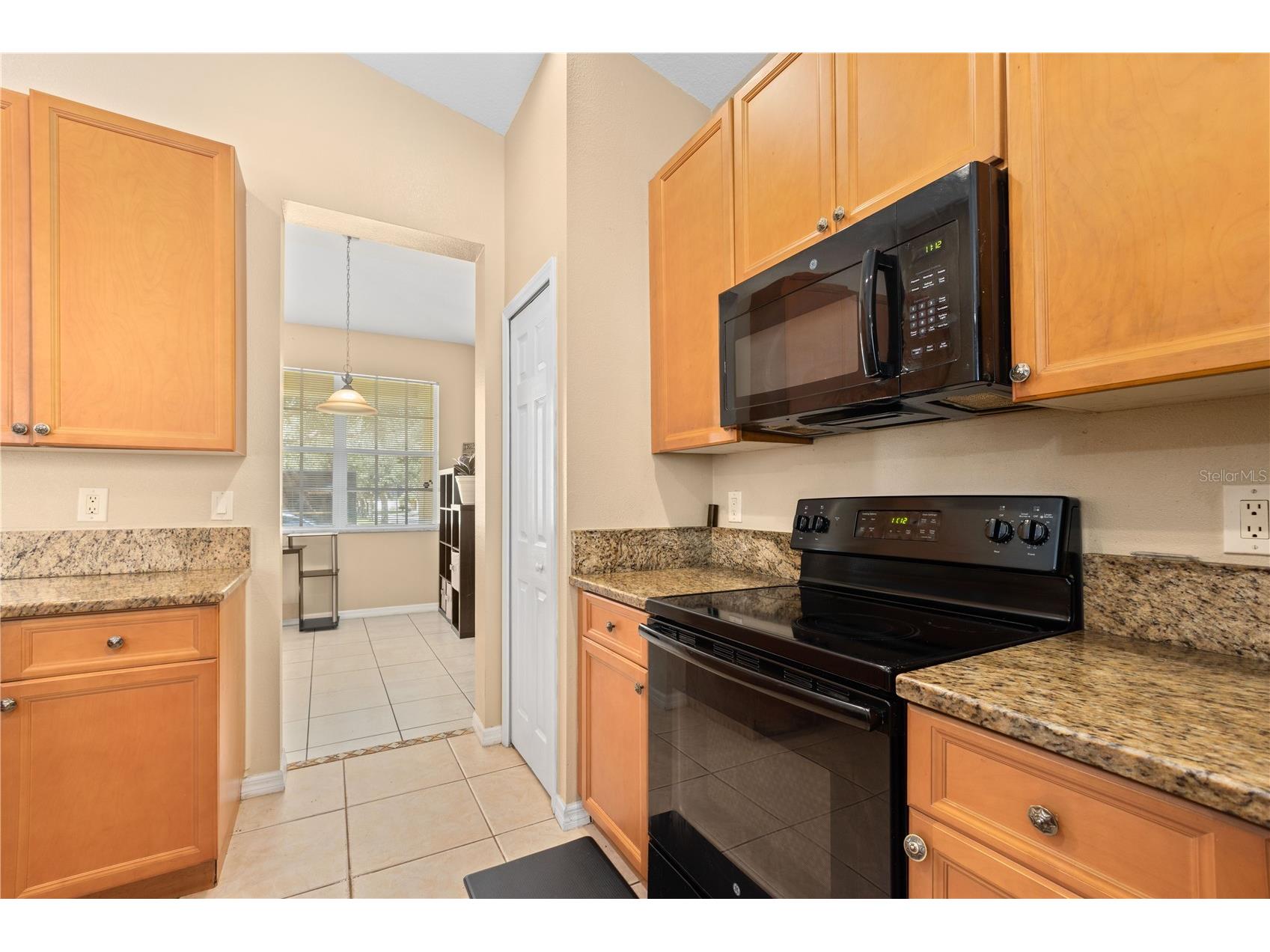 11328 Bridge Pine Drive Riverview FL 33569 TB8522303 image10