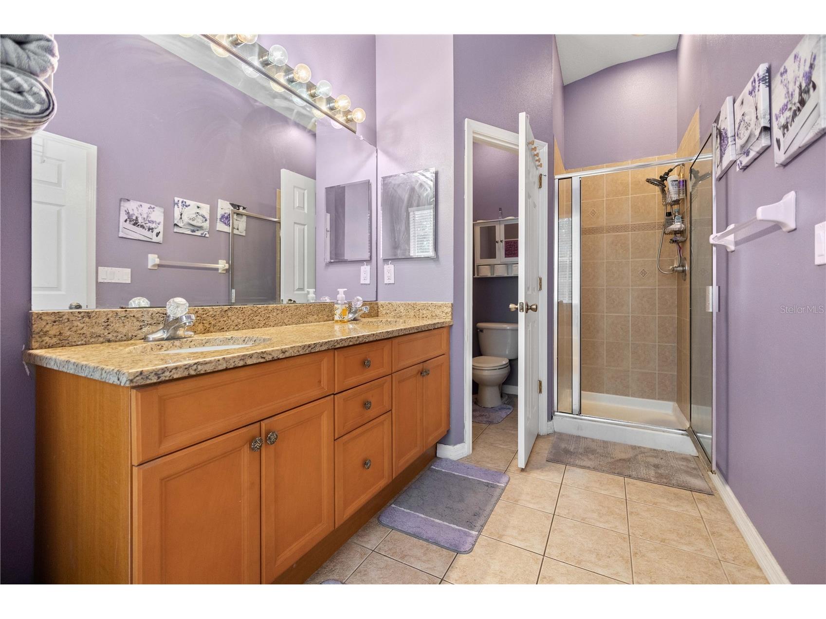 11328 Bridge Pine Drive Riverview FL 33569 TB8522303 image18