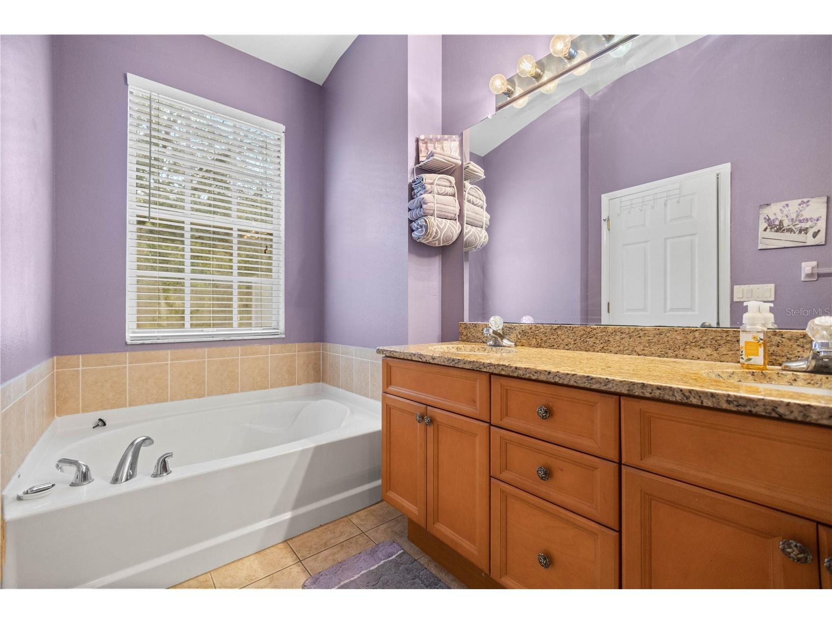 11328 Bridge Pine Drive Riverview FL 33569 TB8522303 image19
