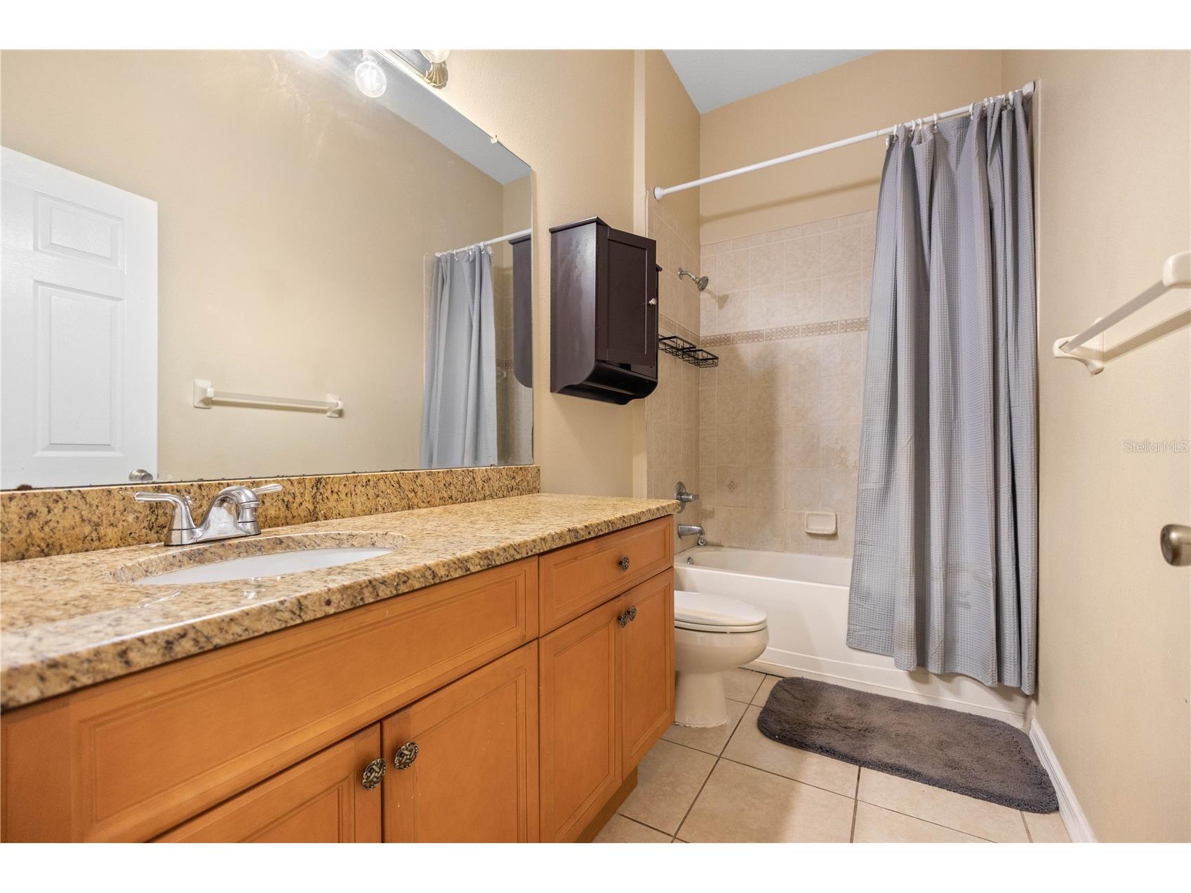 11328 Bridge Pine Drive Riverview FL 33569 TB8522303 image20