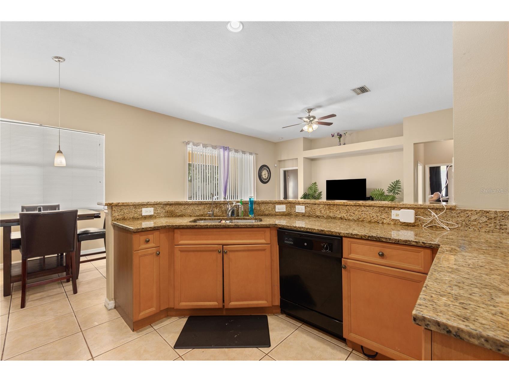 11328 Bridge Pine Drive Riverview FL 33569 TB8522303 image9