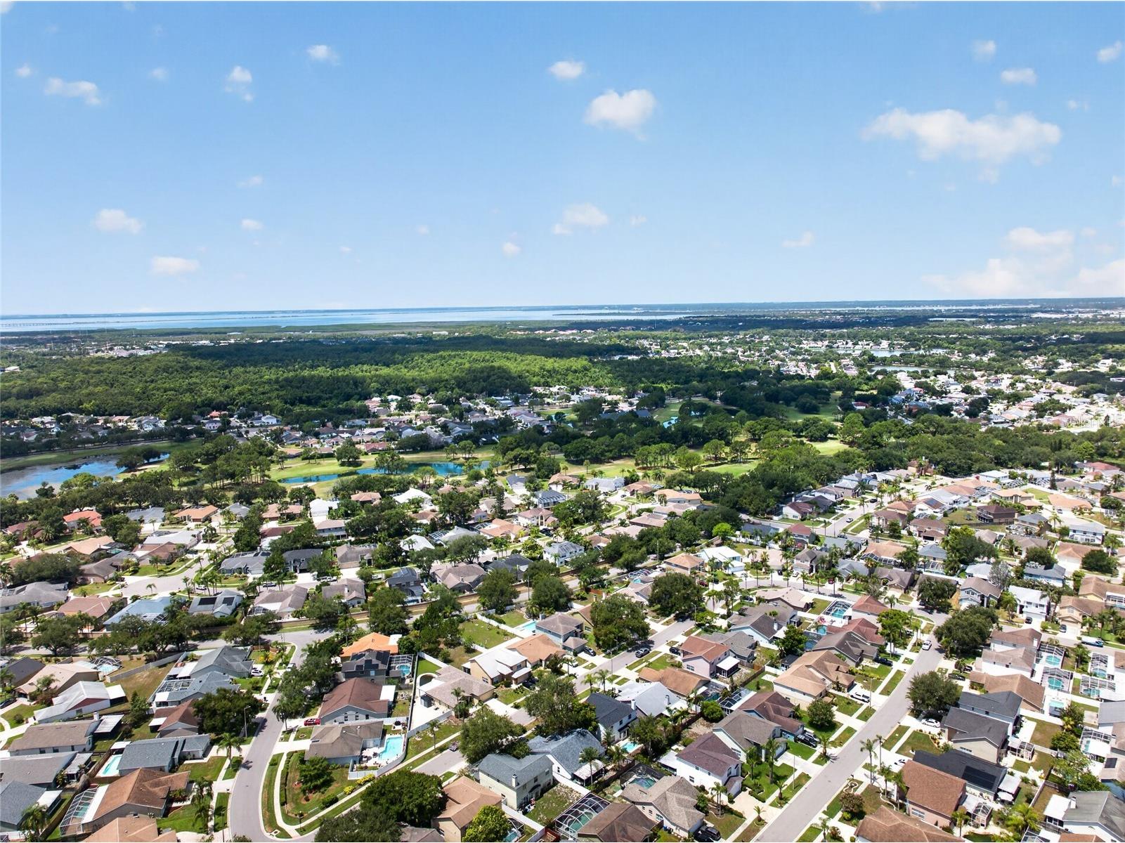11328 Clayridge Drive Tampa FL 33635 TB8524530 image55