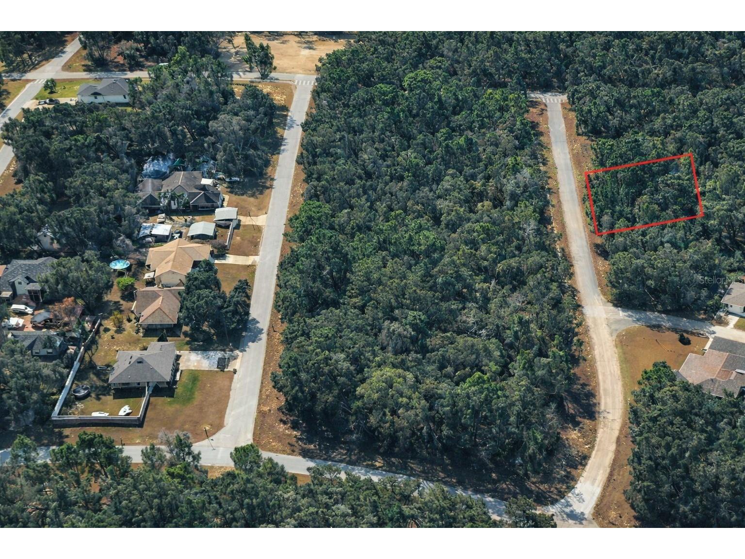 11328 N Cathy Terrace Dunnellon FL 34434 O6391880 image1