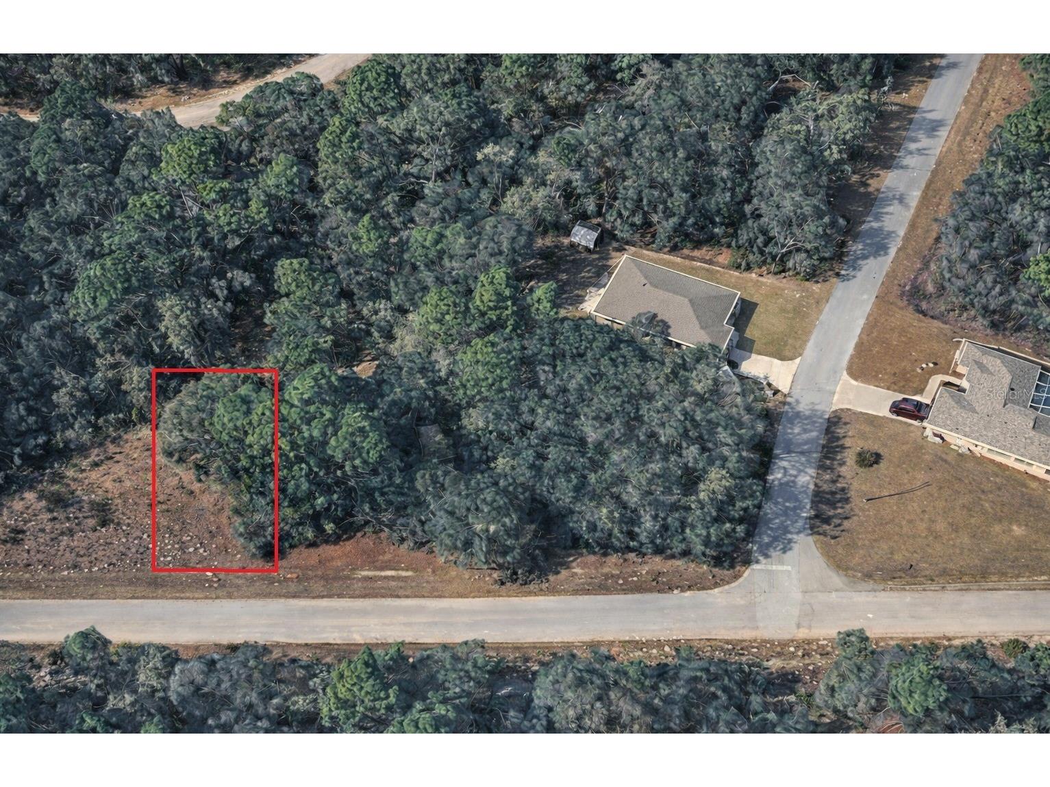 11328 N Cathy Terrace Dunnellon FL 34434 O6391880 image2