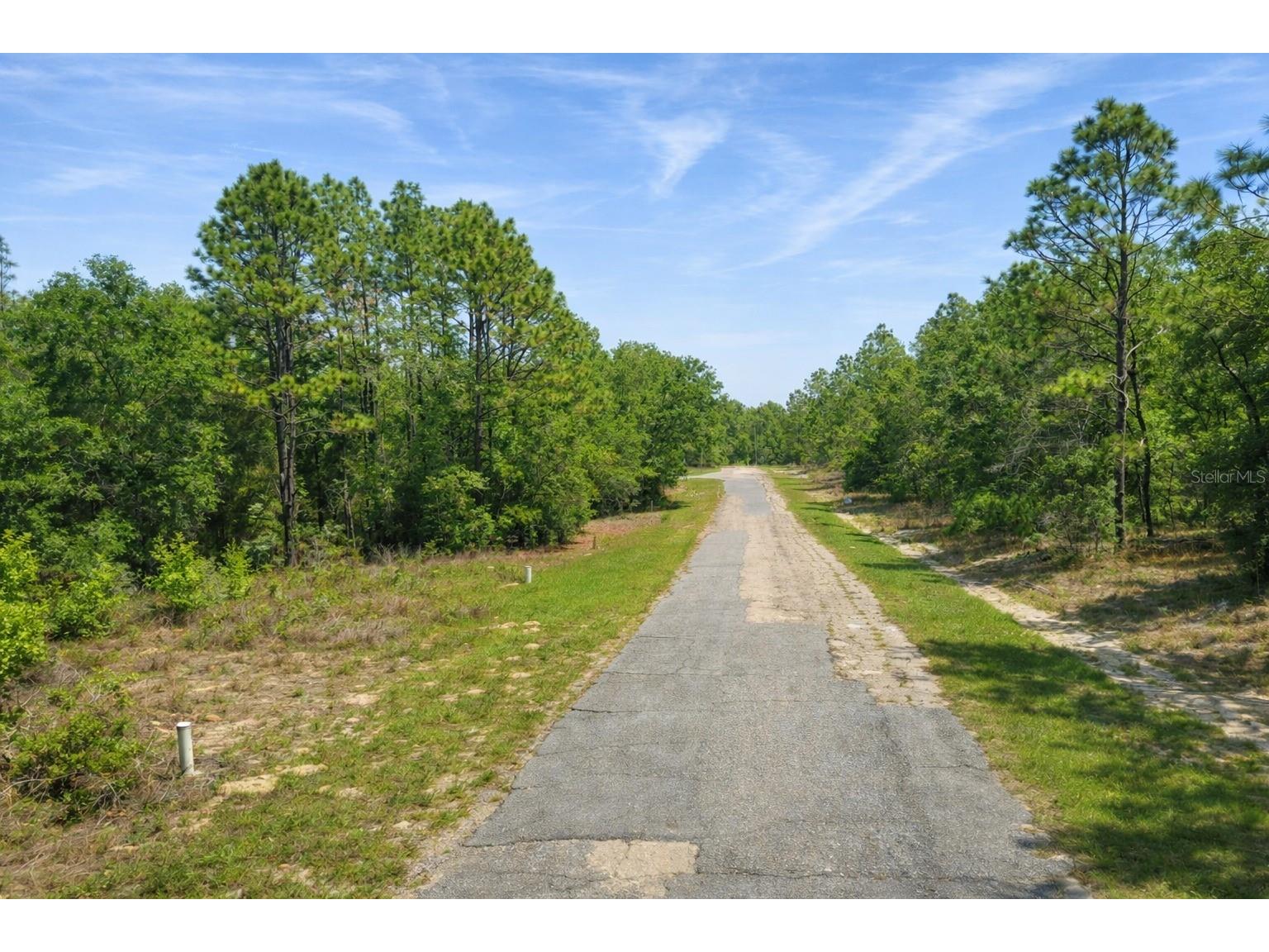 11328 N Cathy Terrace Dunnellon FL 34434 O6391880 image3