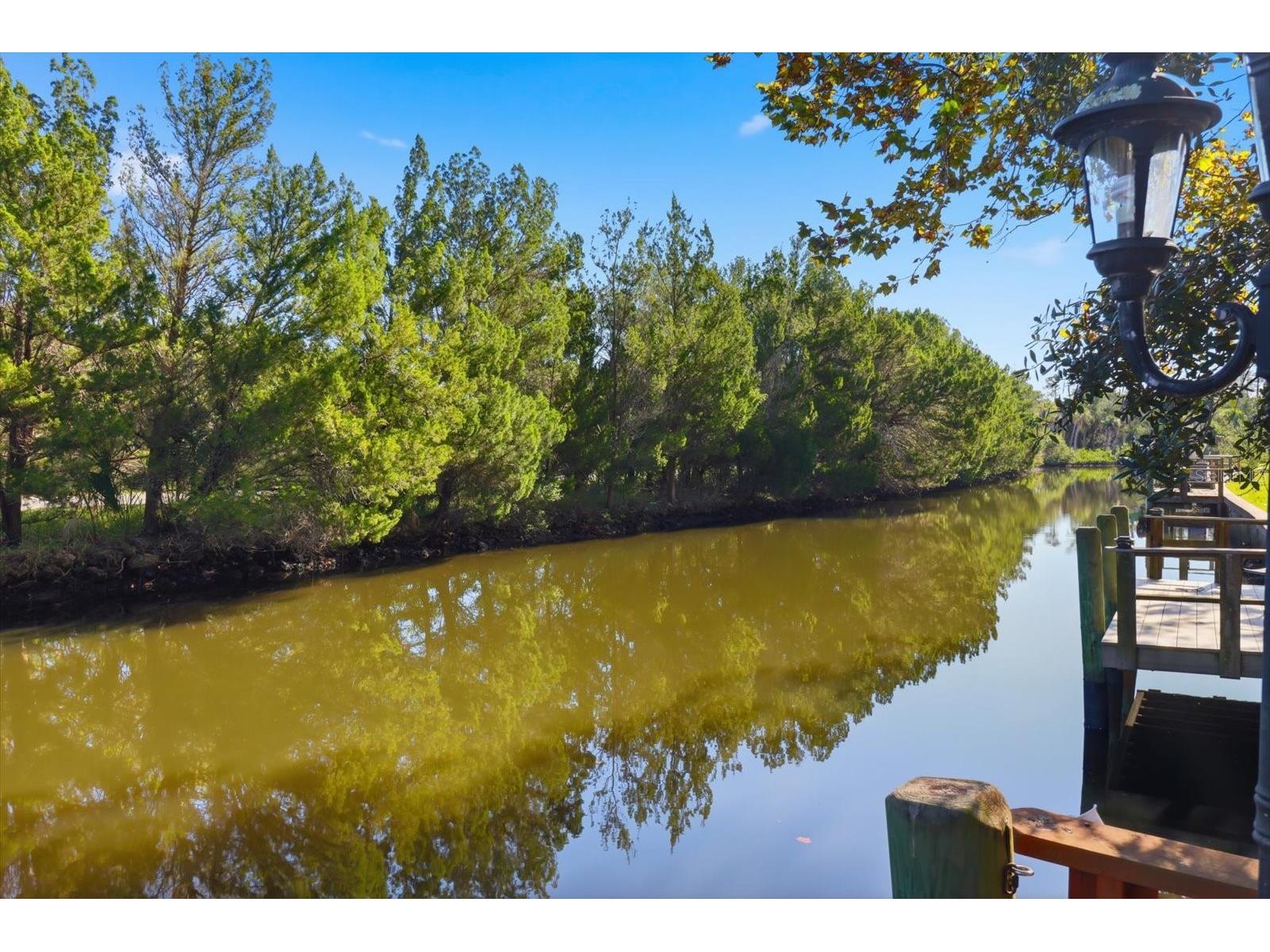 11328 W Bayshore Drive Crystal River FL 34429 OM723704 image37